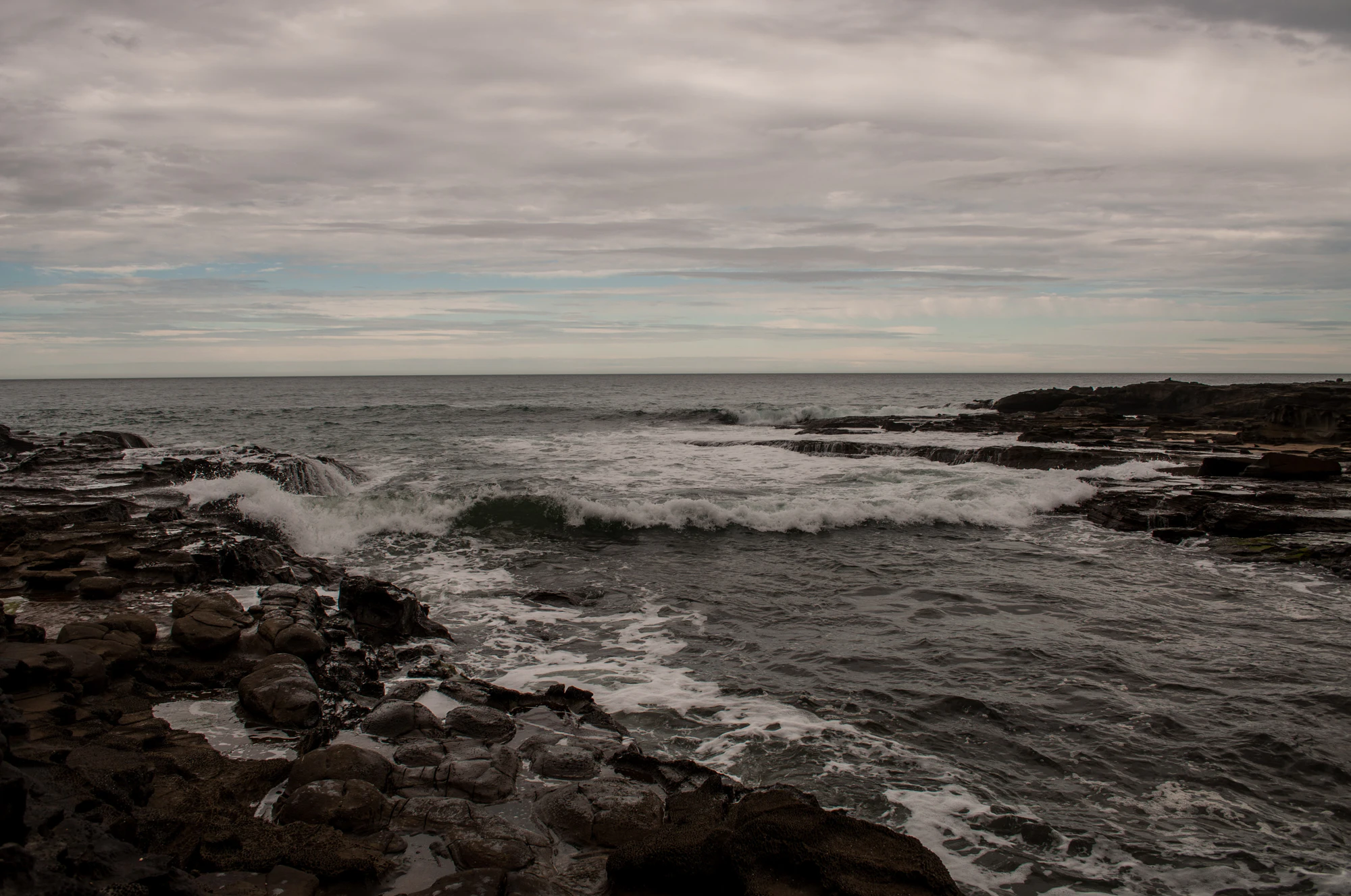 202 — Descargar