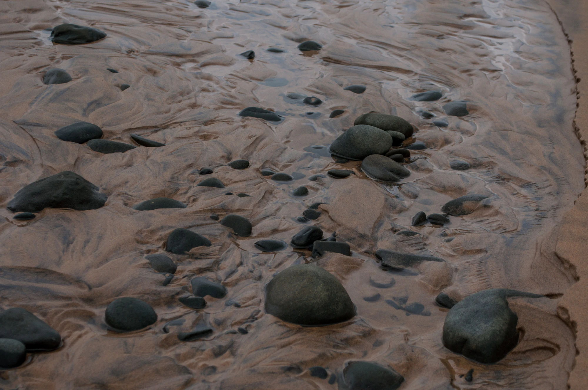 262 — Скачать