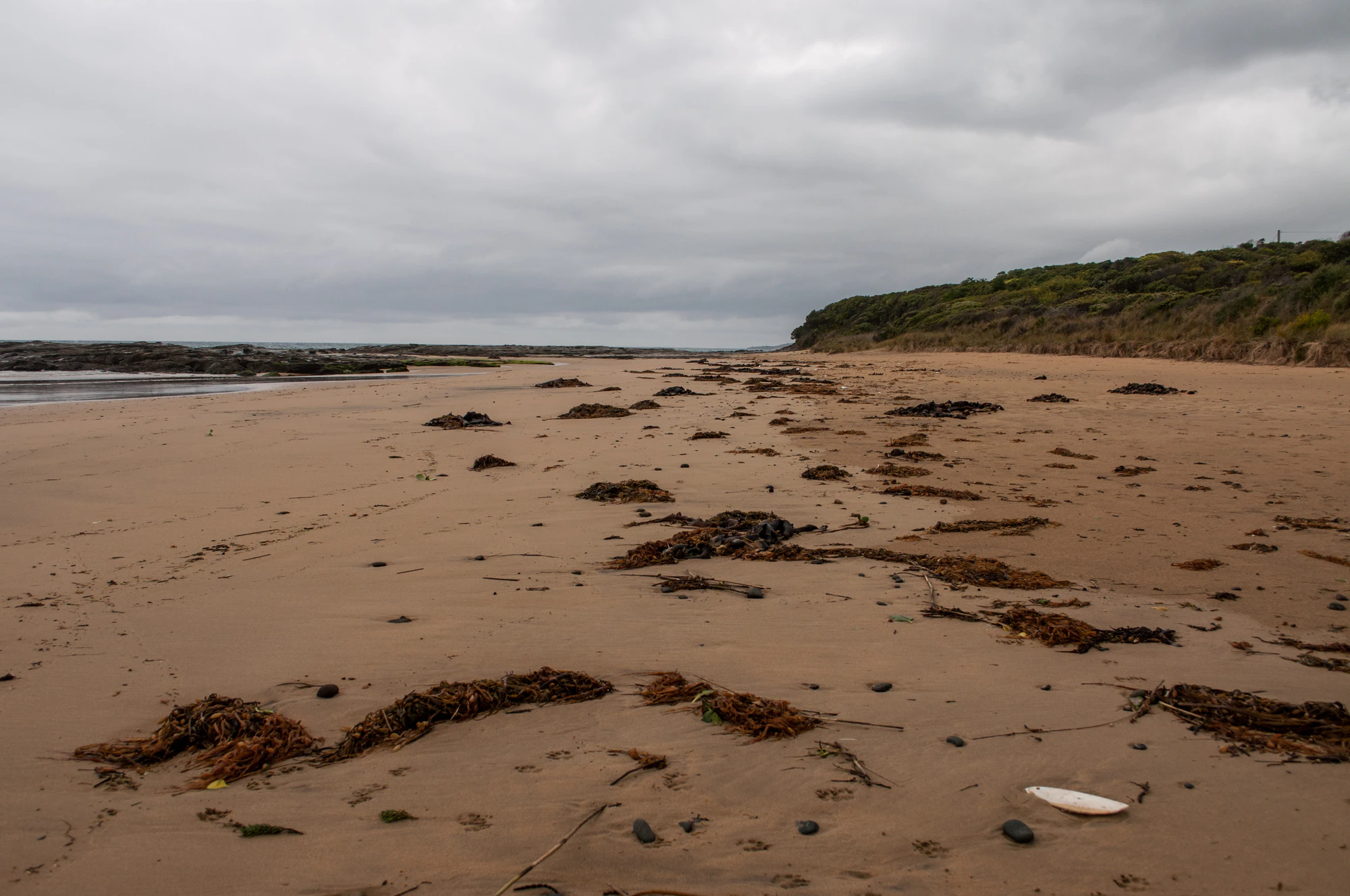 271 — Скачать