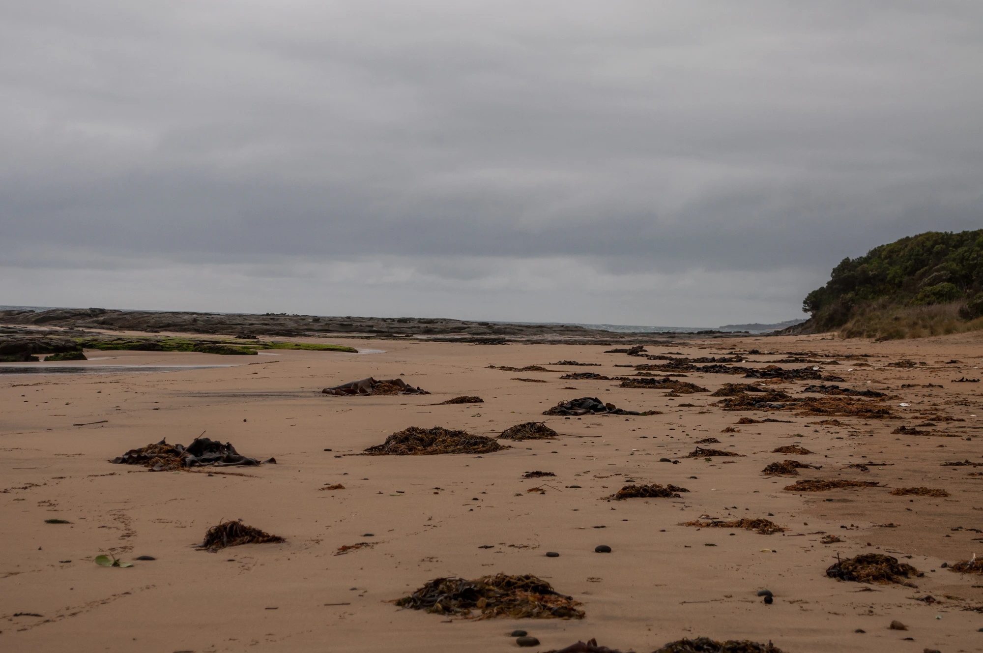 272 — Скачать