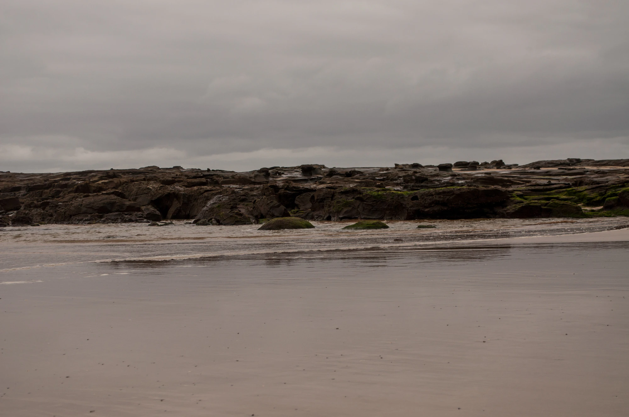 273 — Скачать