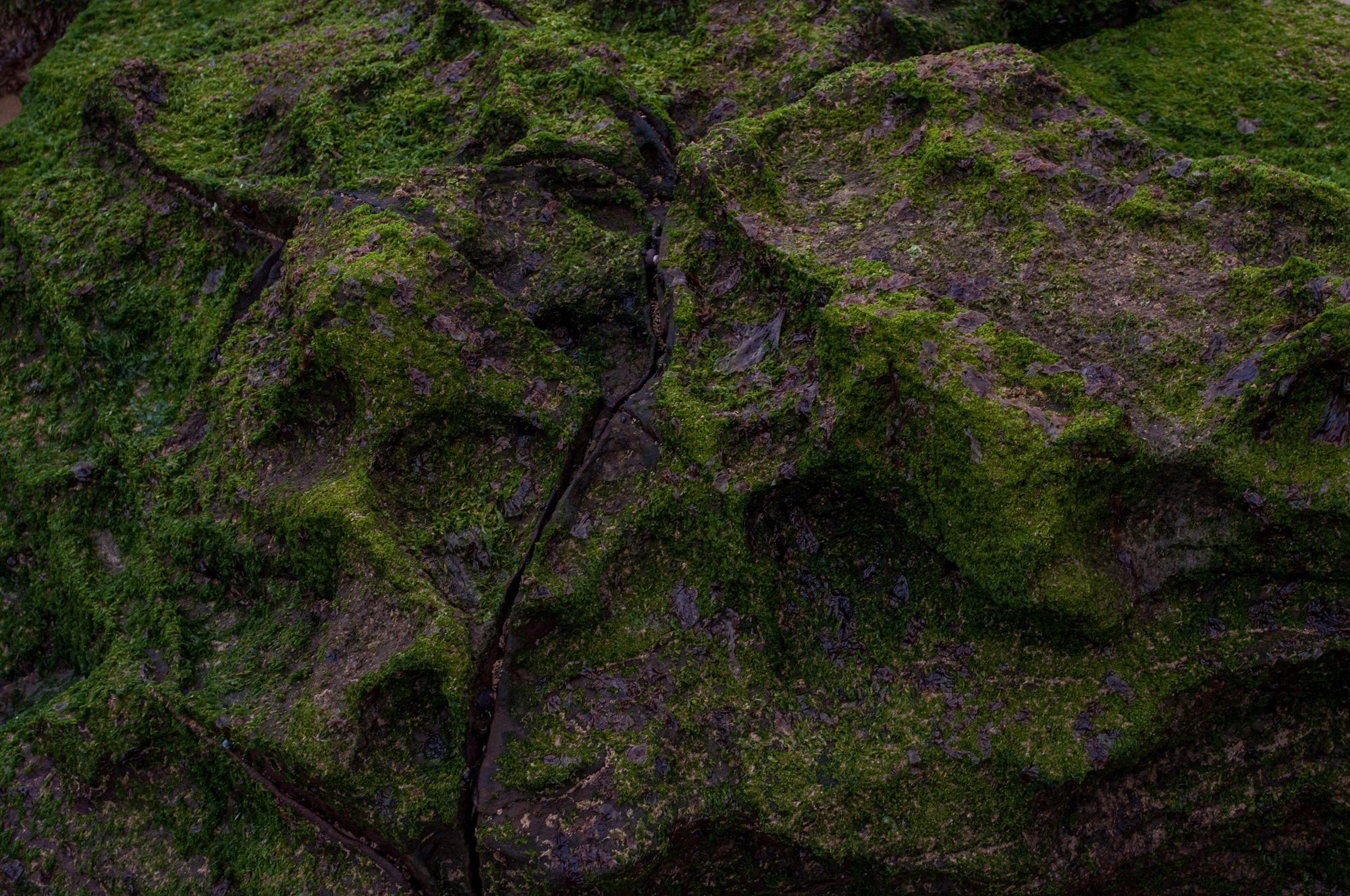 285 — Скачать