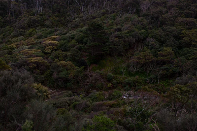 289 — Скачать