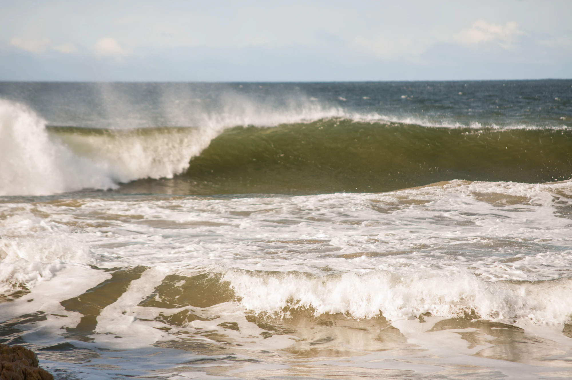 254 — Descargar
