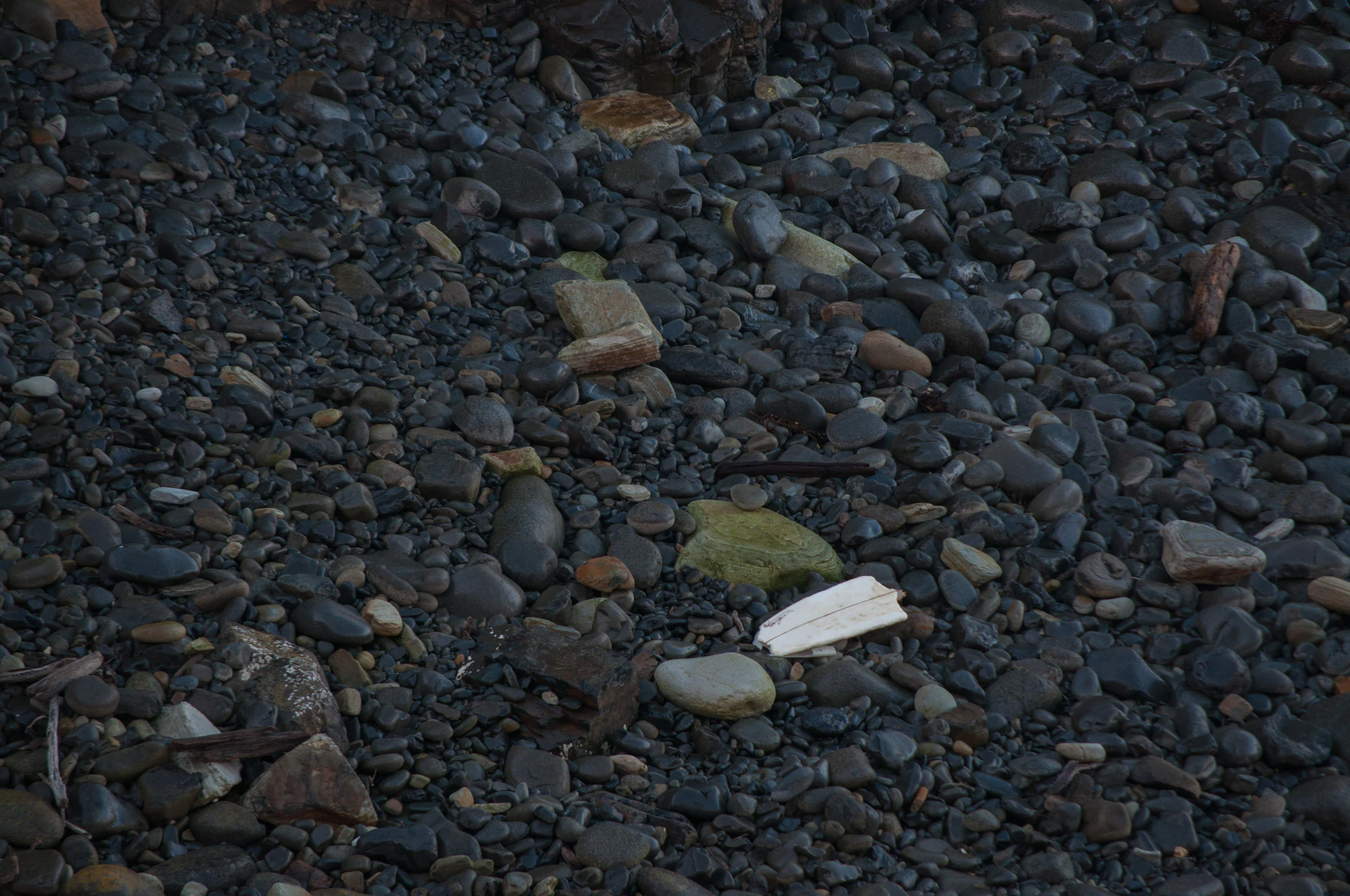 456 — Скачать