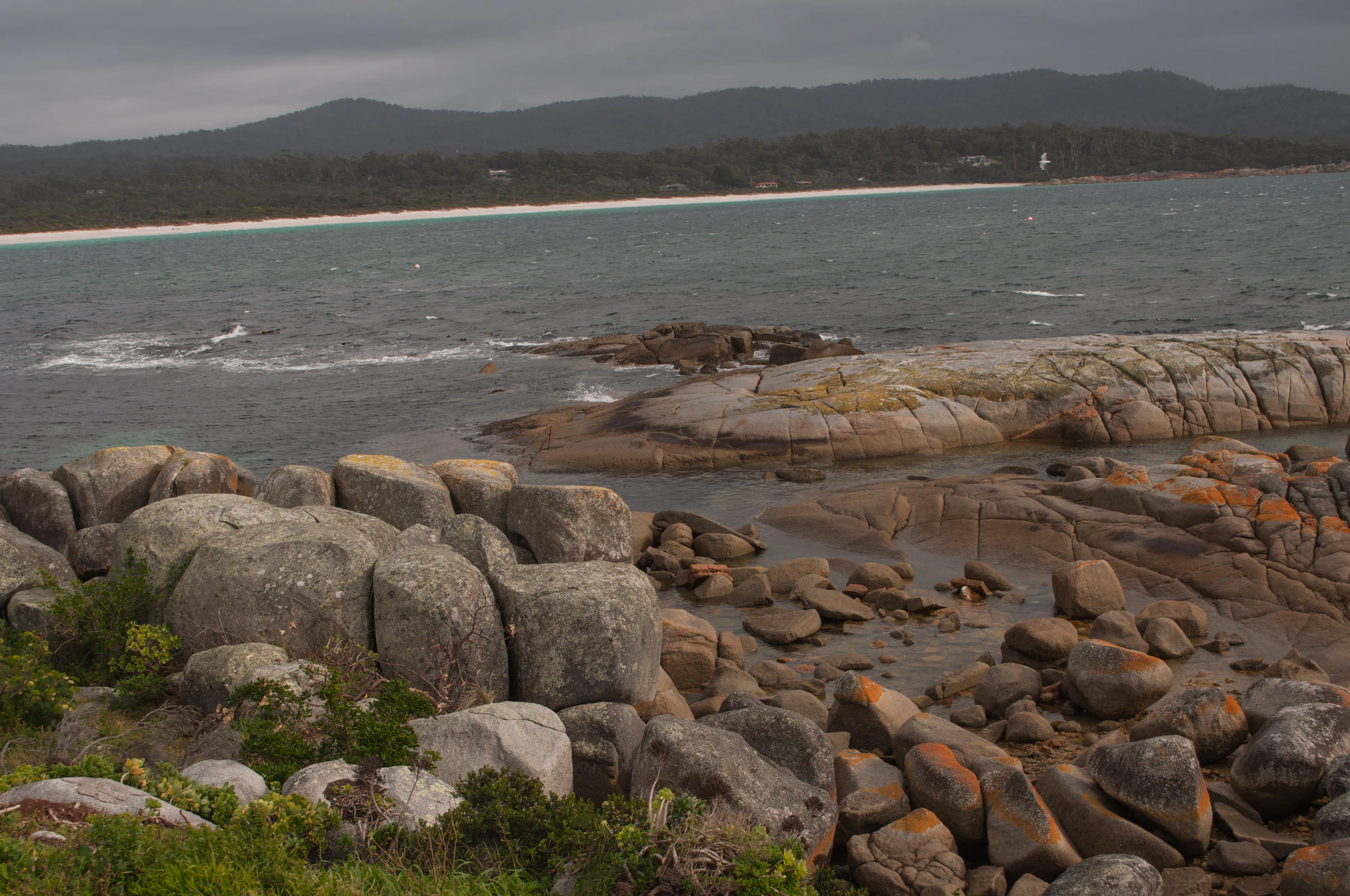 597 — Скачать