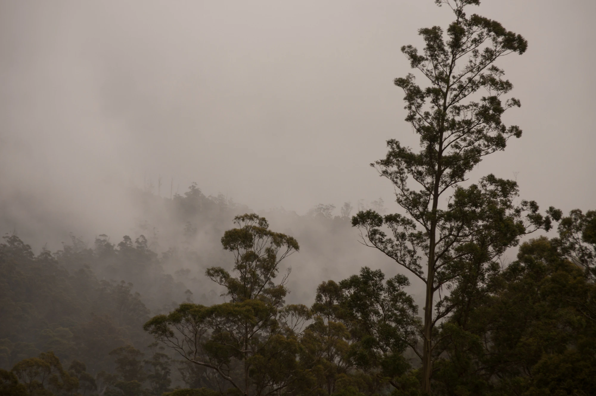 606 — Скачать