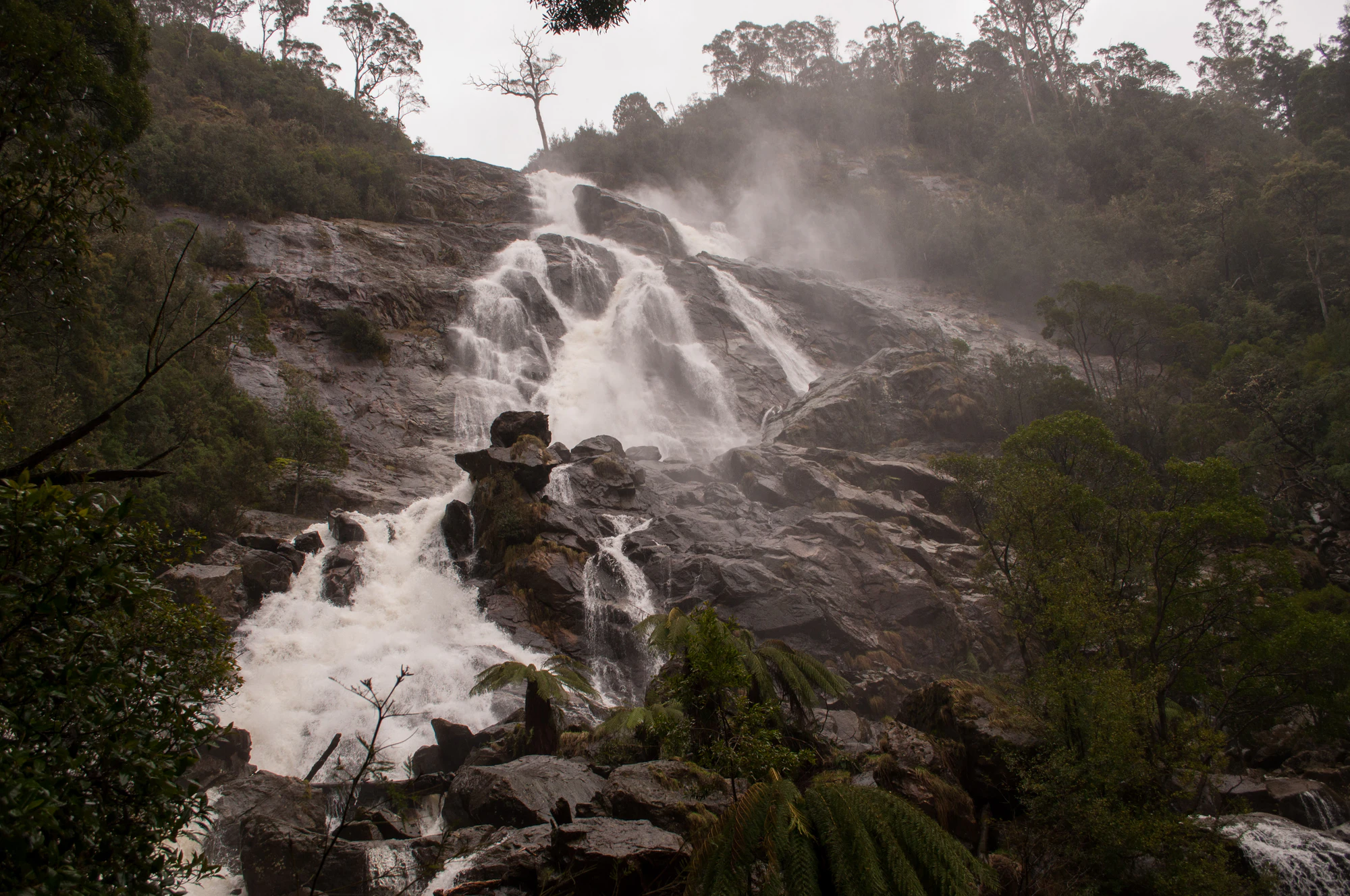 608 — Скачать