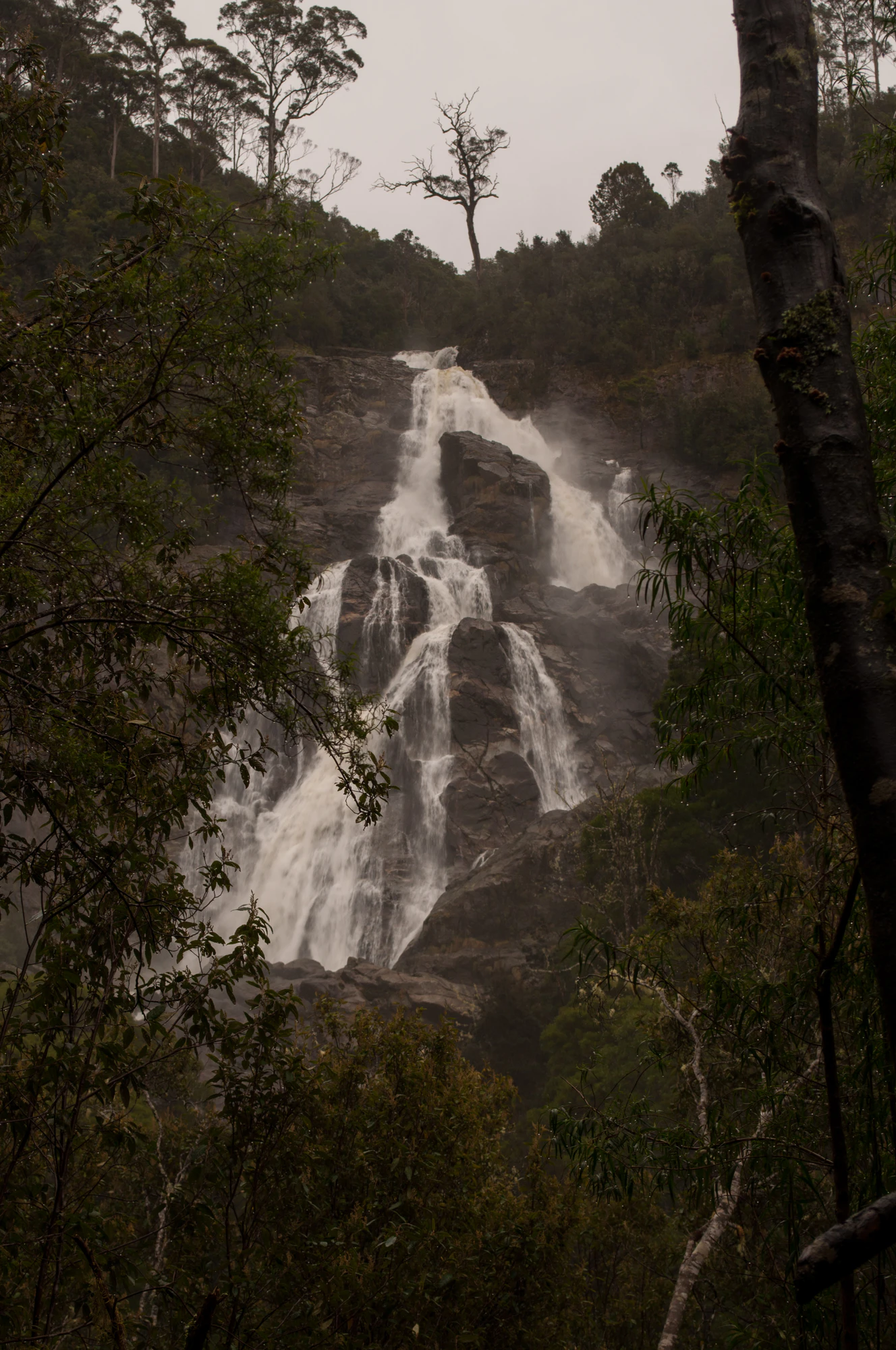 609 — Скачать