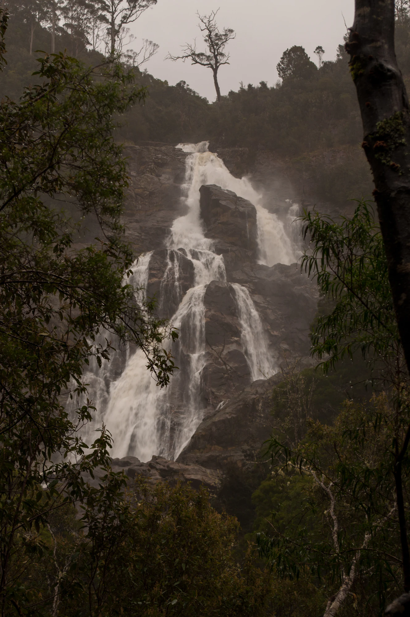 610 — Скачать