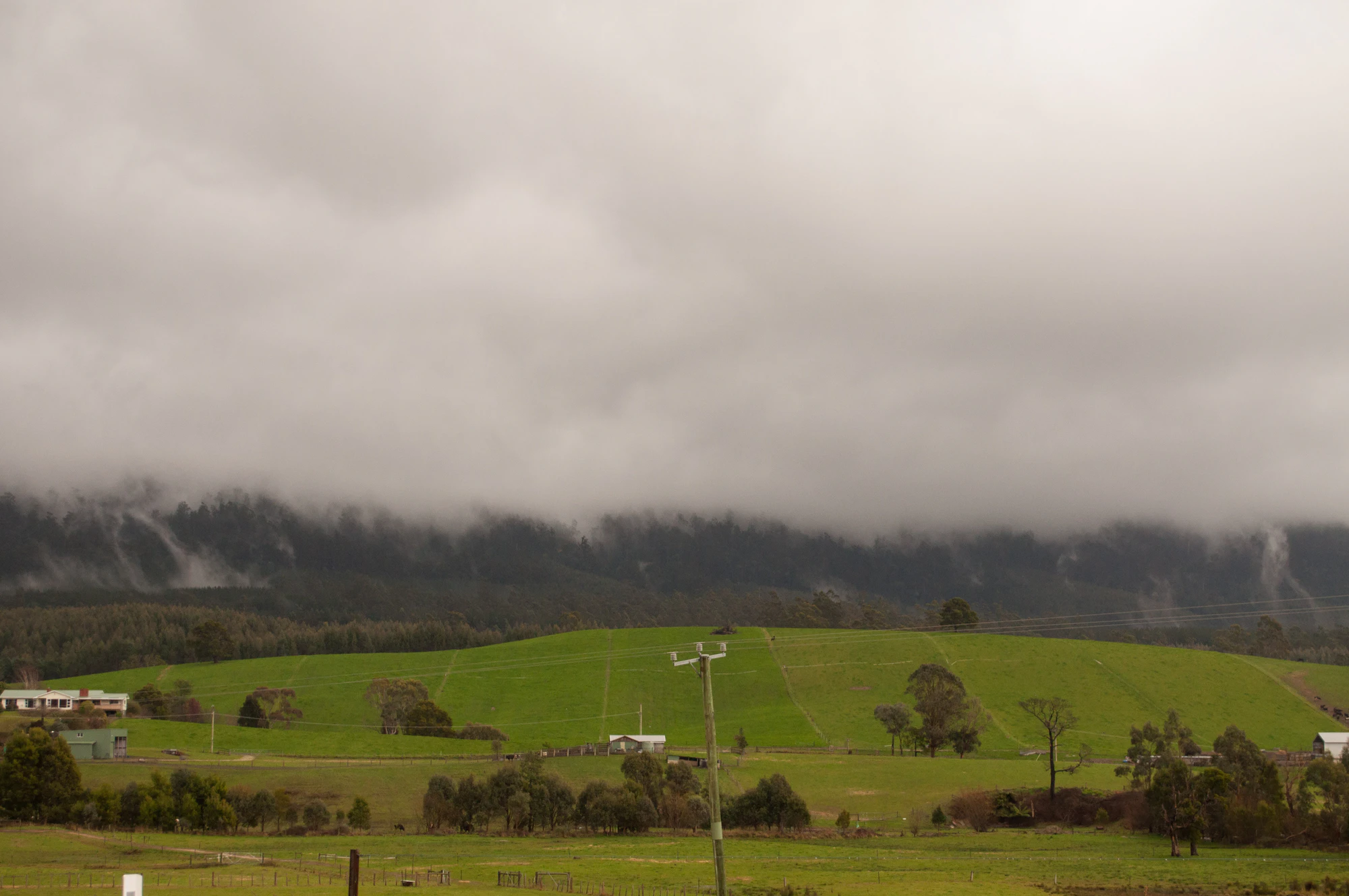 613 — Скачать