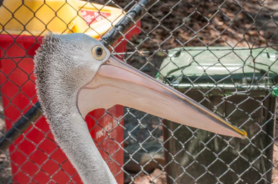 012 — Скачать