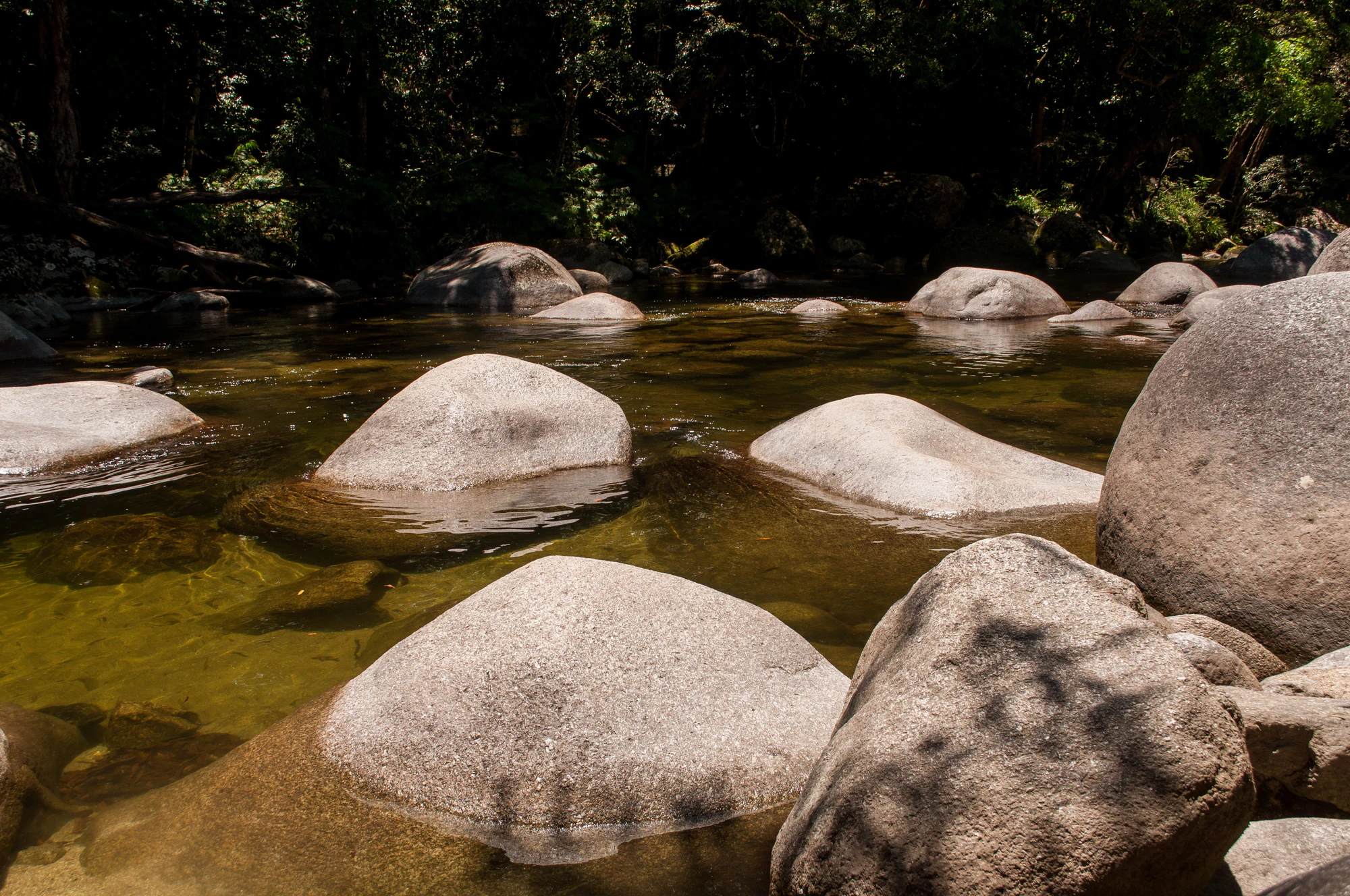 272 — Скачать