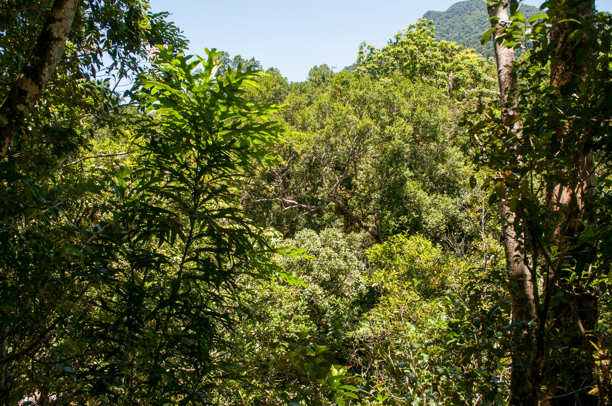 275 — Скачать