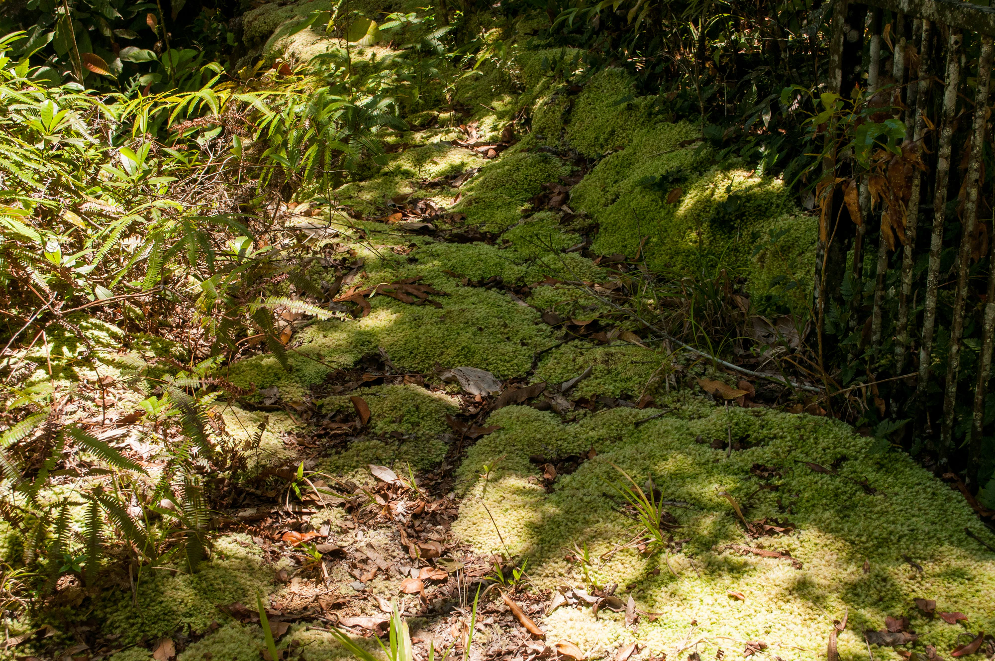 278 — Скачать