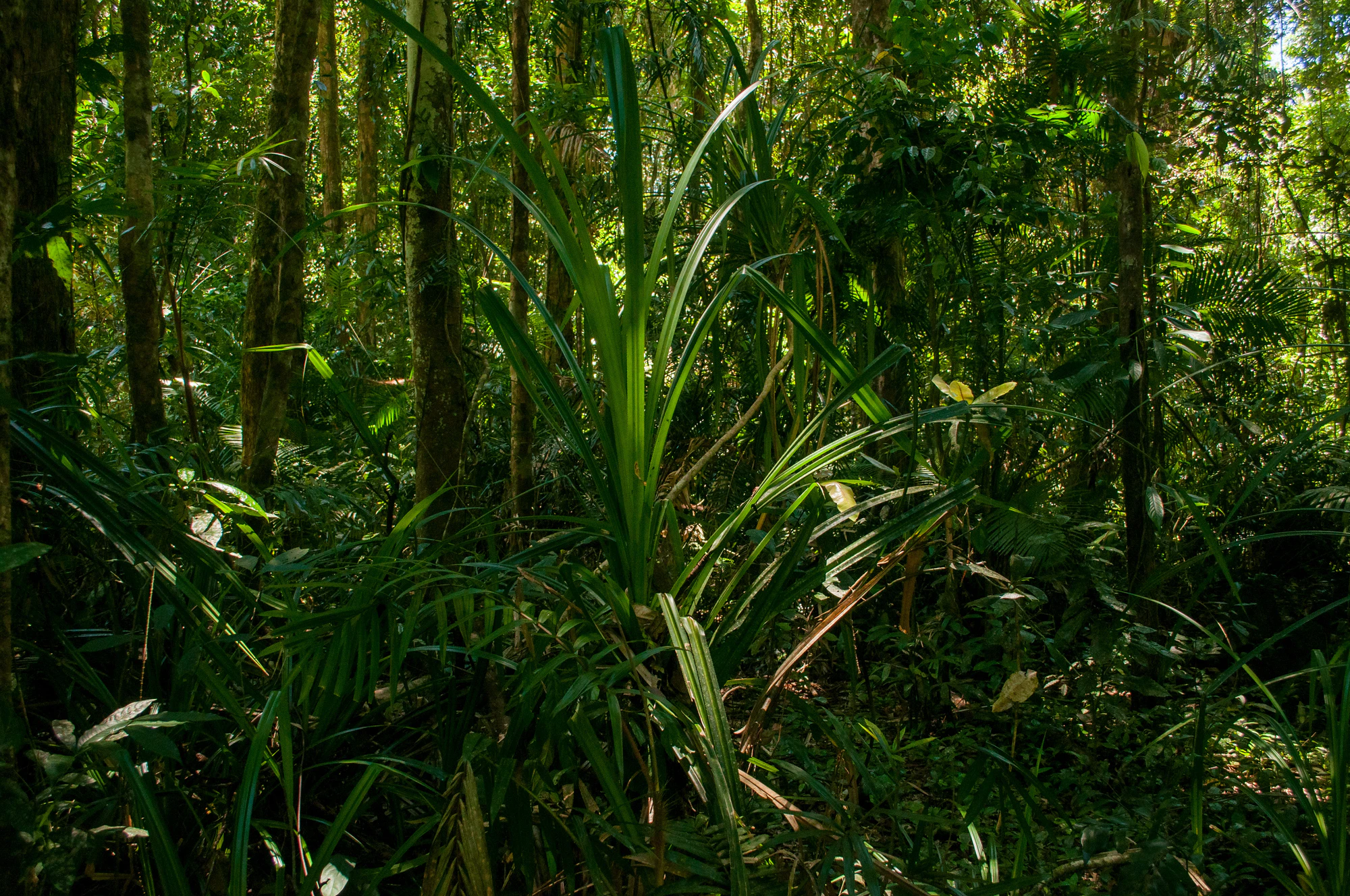 279 — Скачать