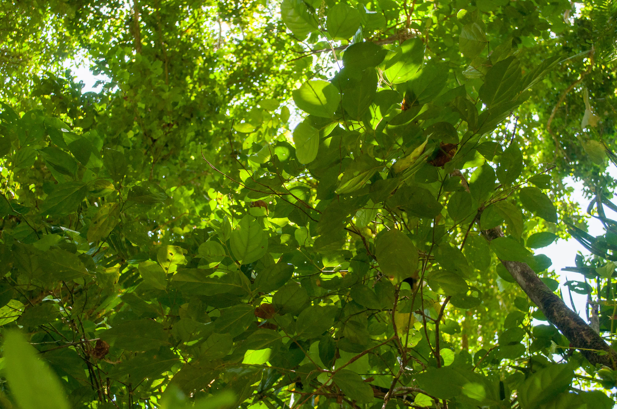 281 — Скачать