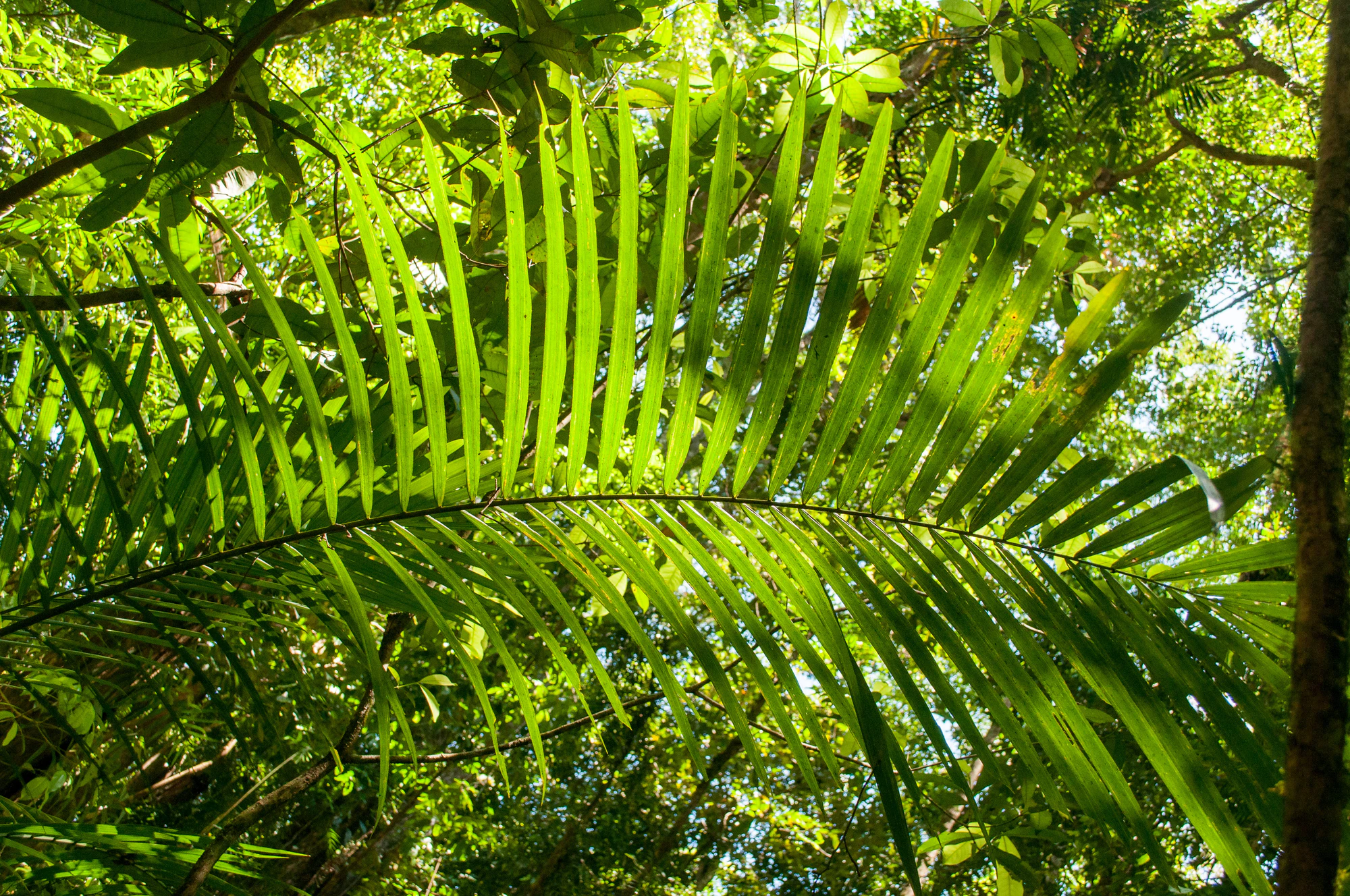 282 — Скачать