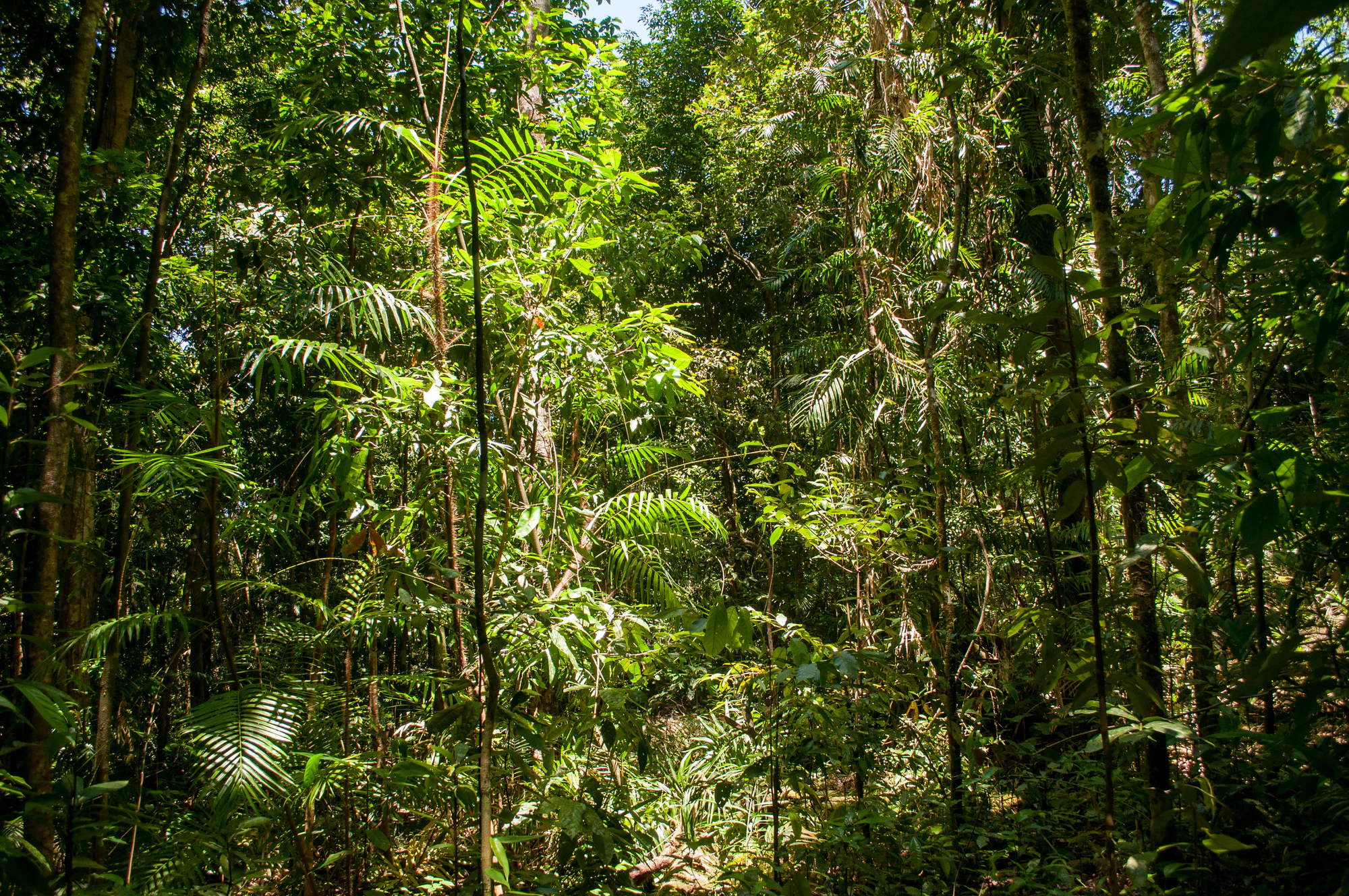 284 — Скачать