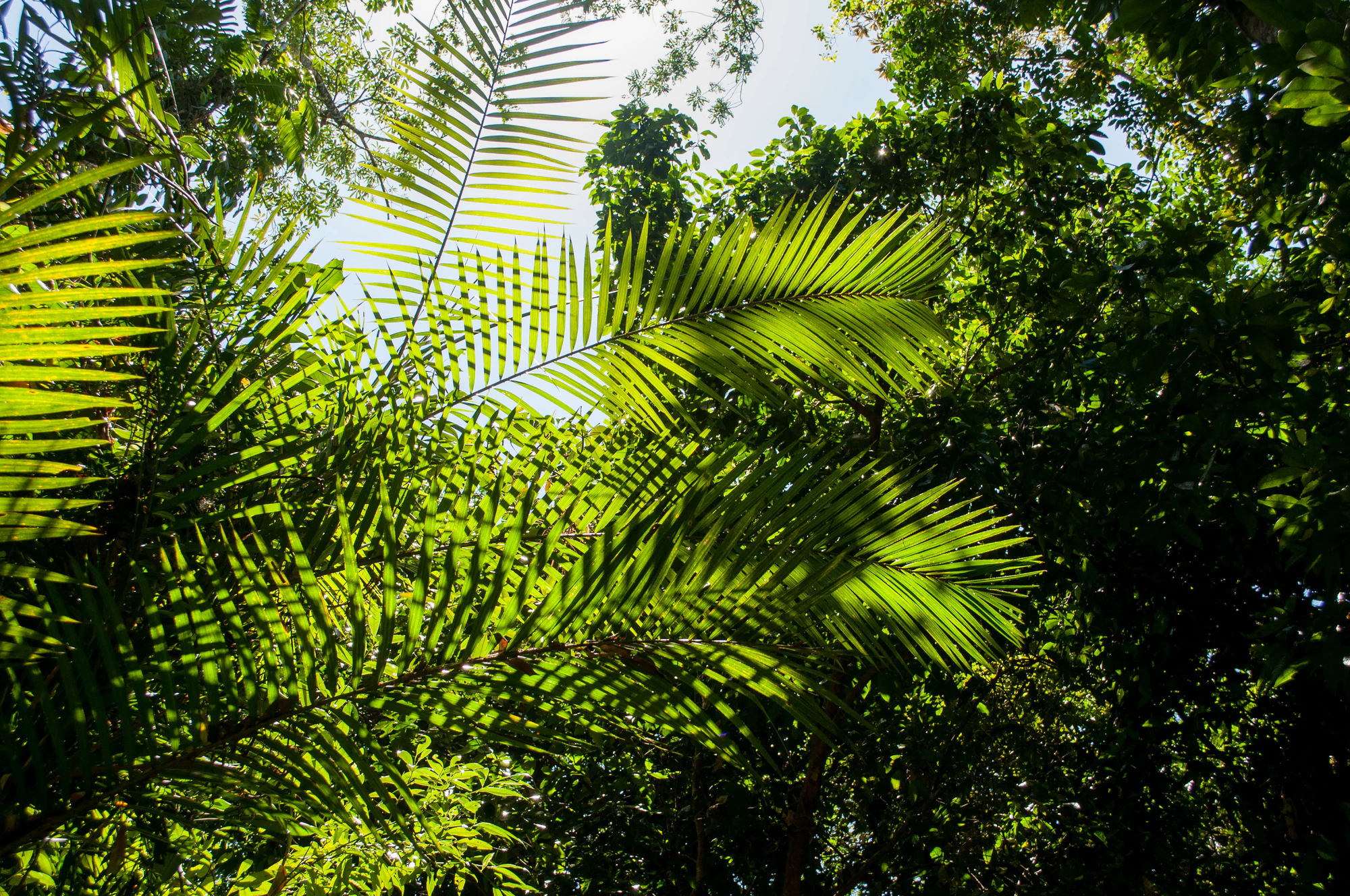 286 — Скачать