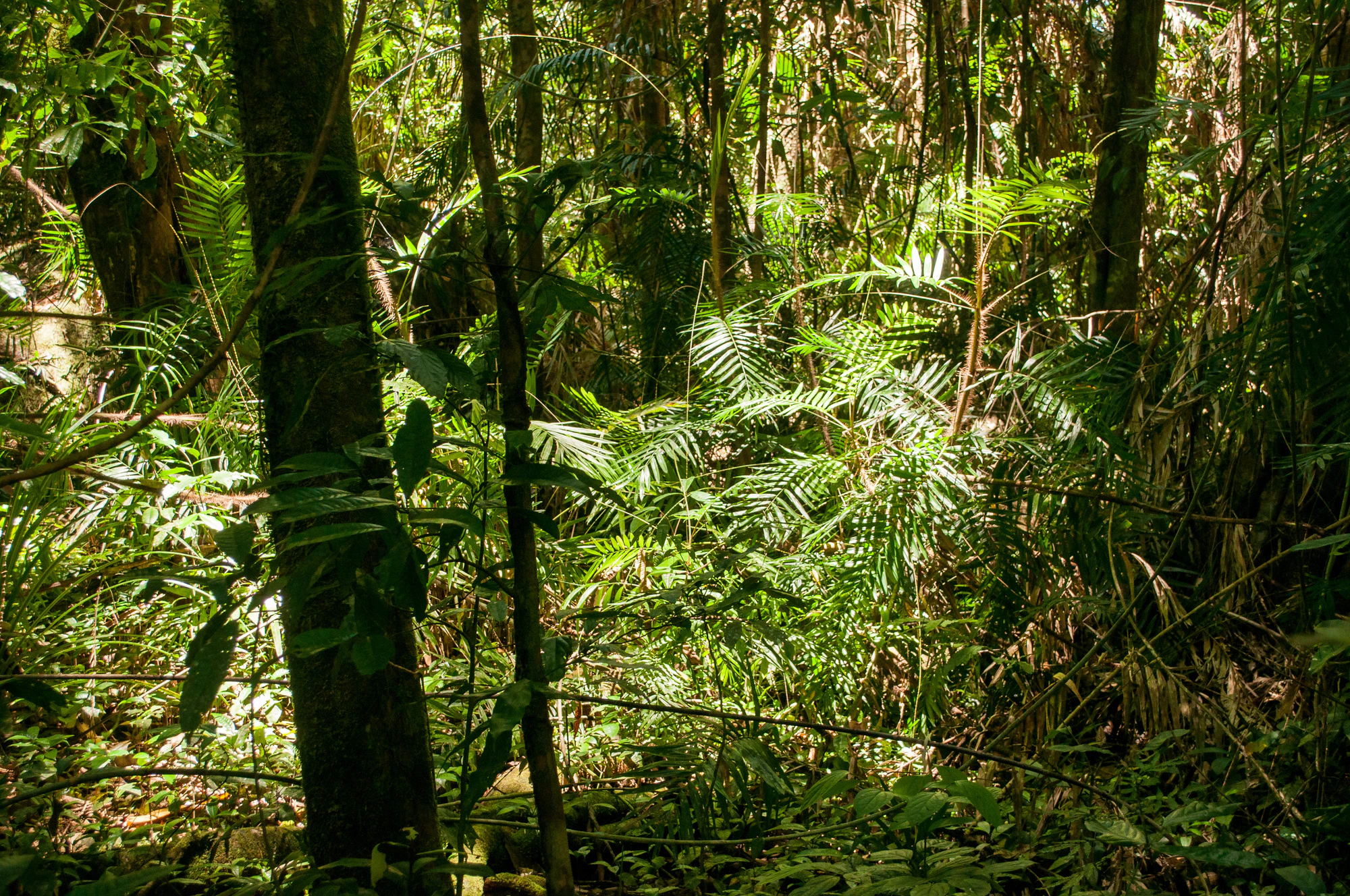 290 — Скачать