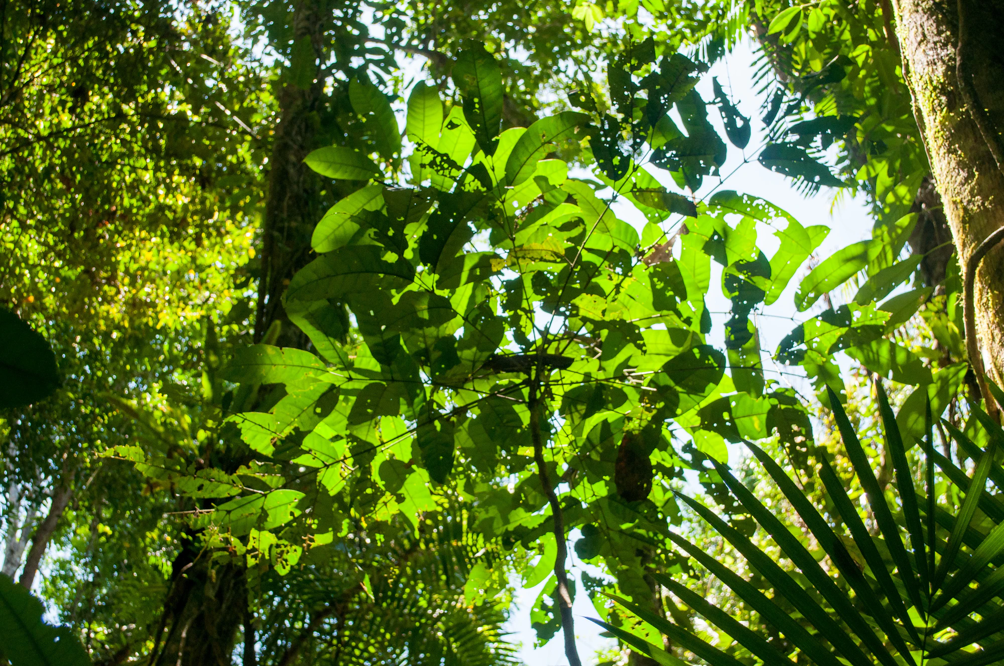 291 — Скачать