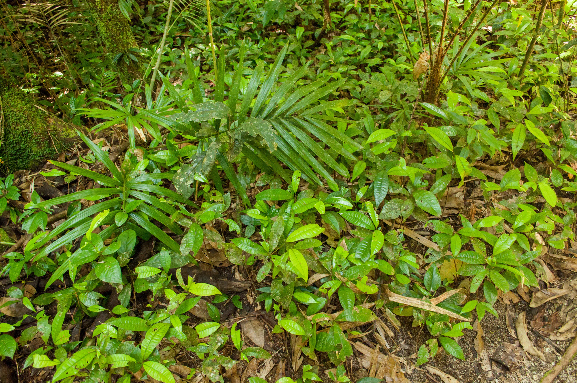 302 — Скачать