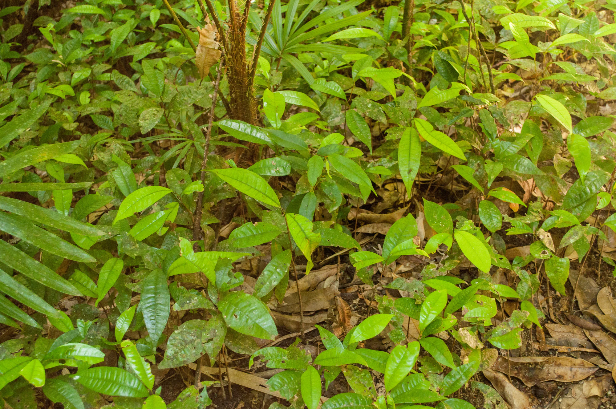 303 — Скачать