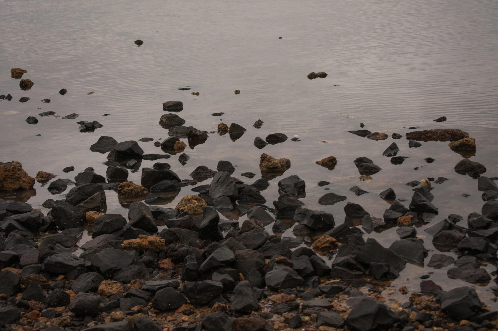 013 — Descargar
