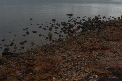 044 — Descargar