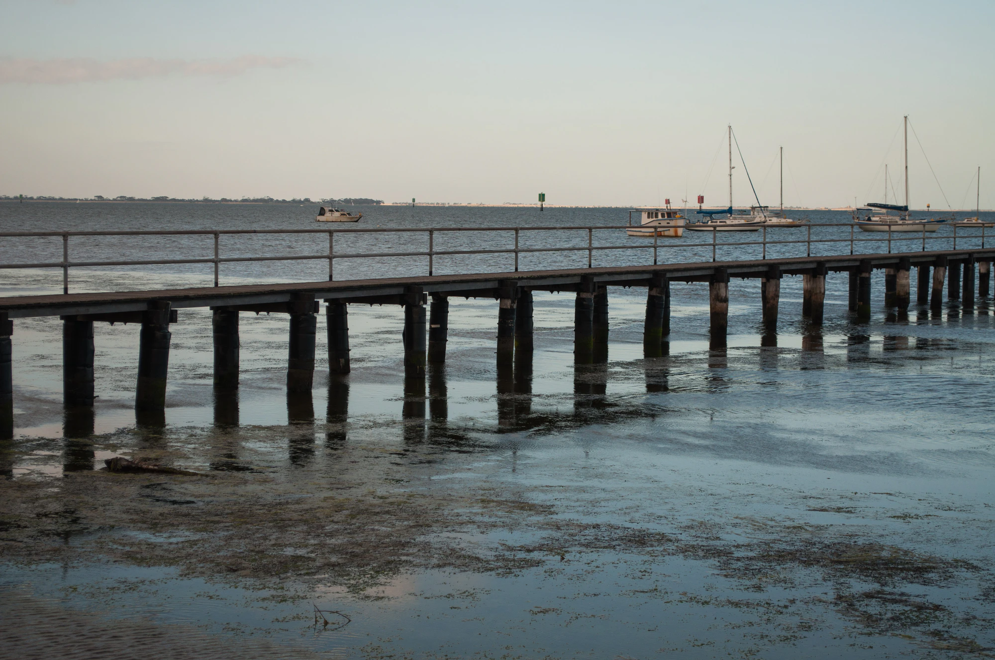 295 — Скачать