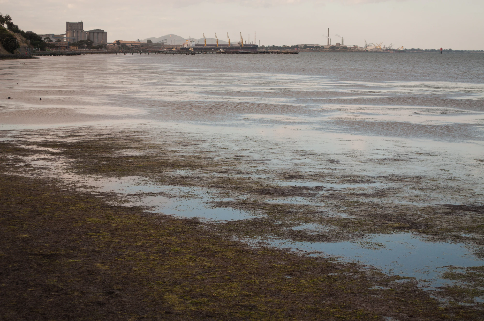 297 — Скачать