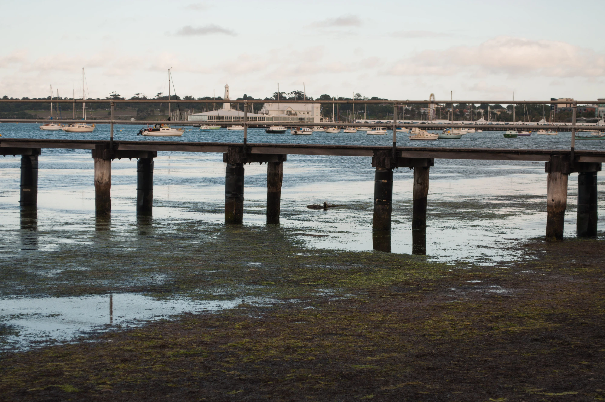 303 — Скачать