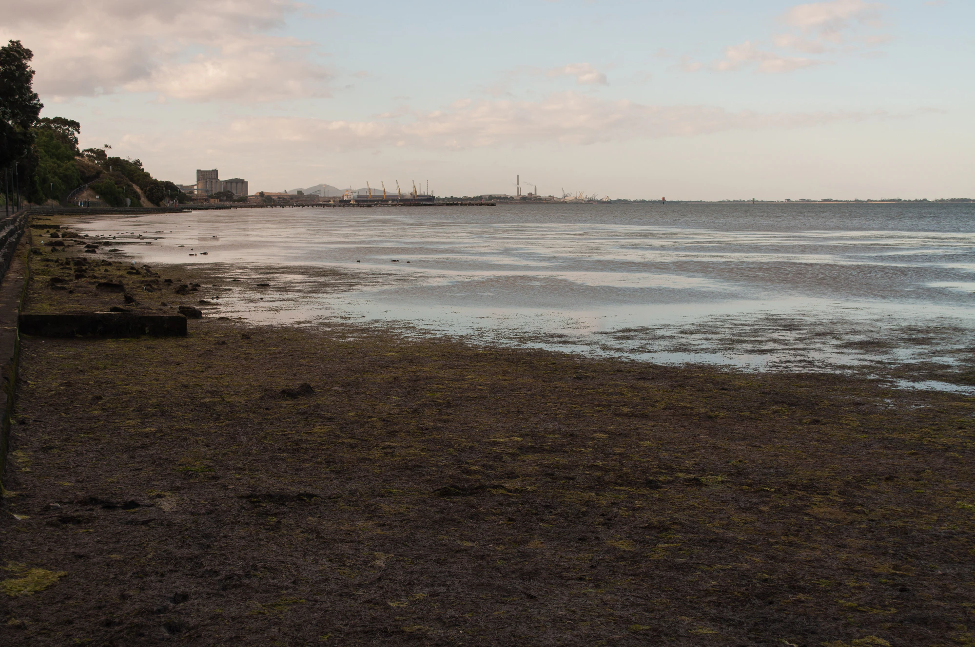 304 — Скачать