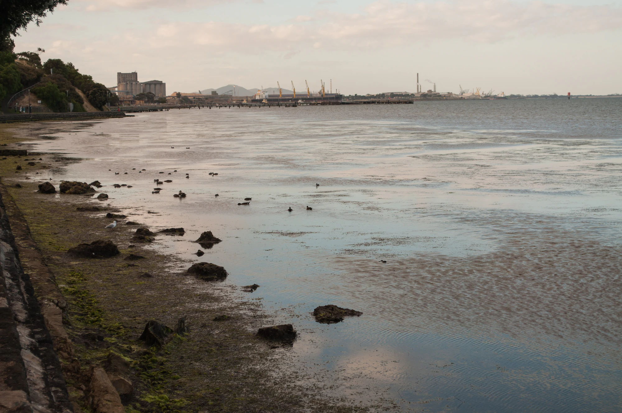 306 — Скачать