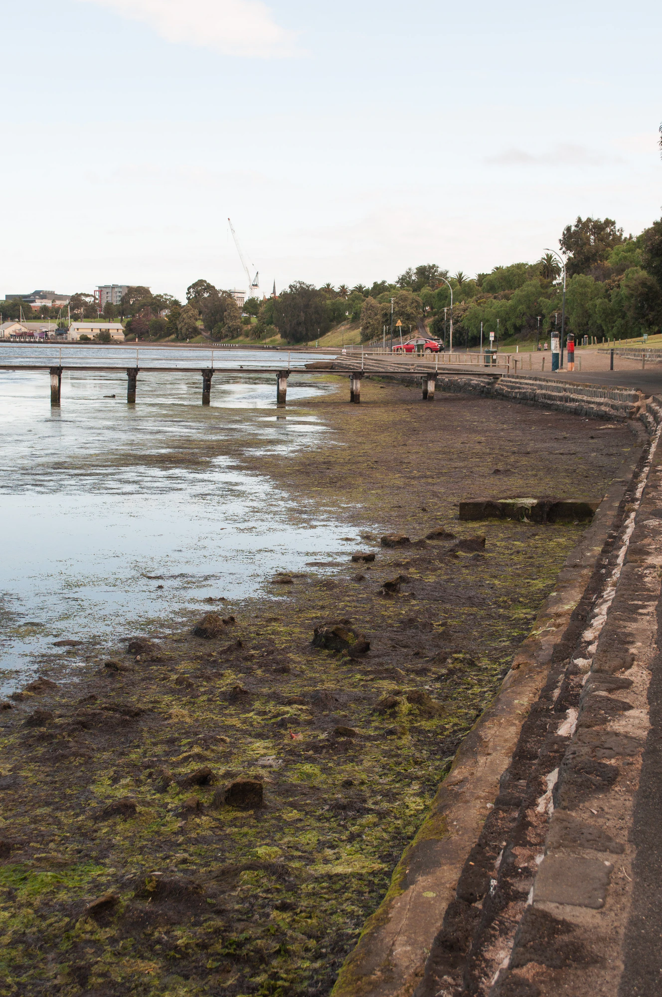 313 — Скачать