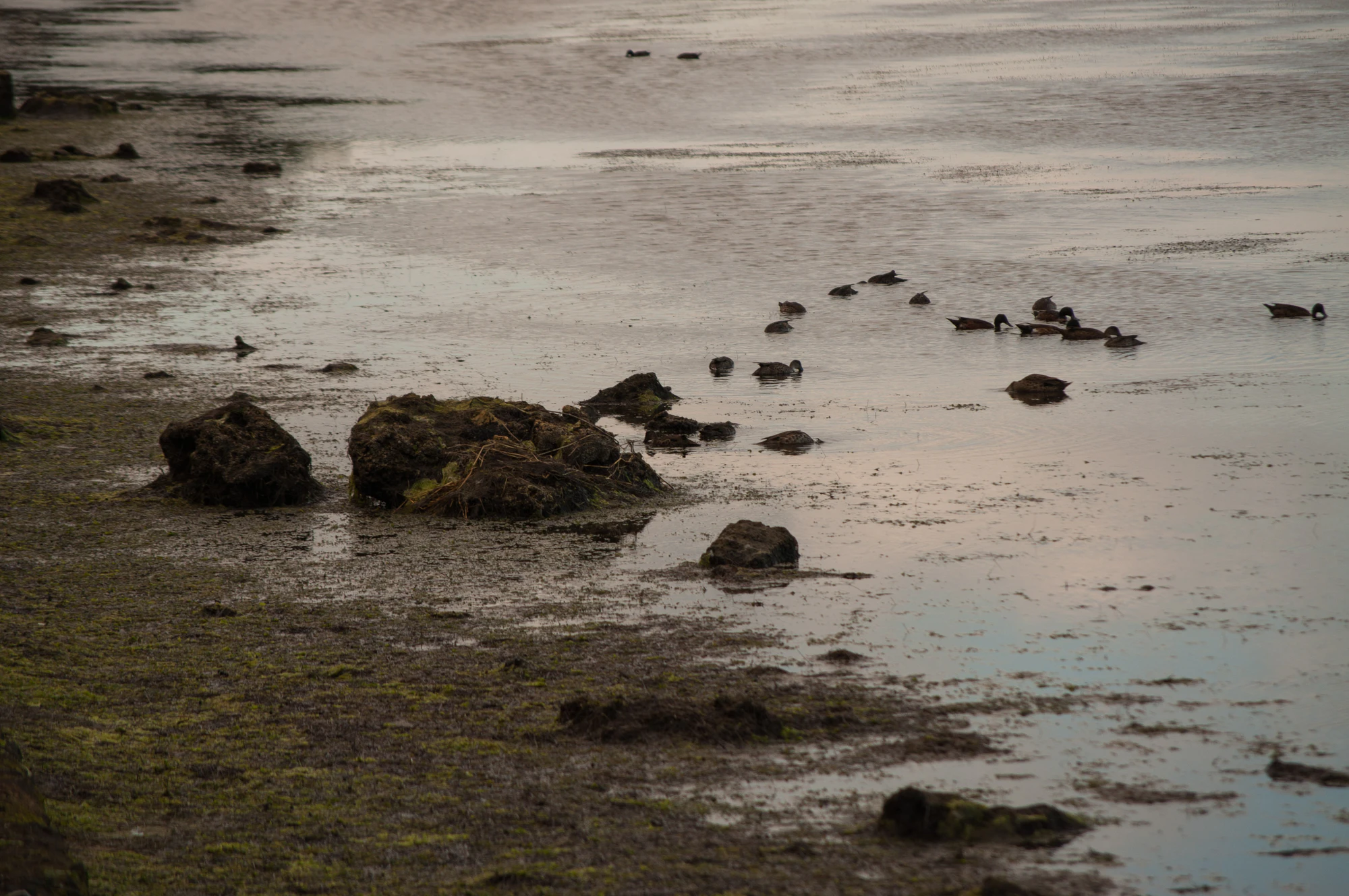 314 — Скачать