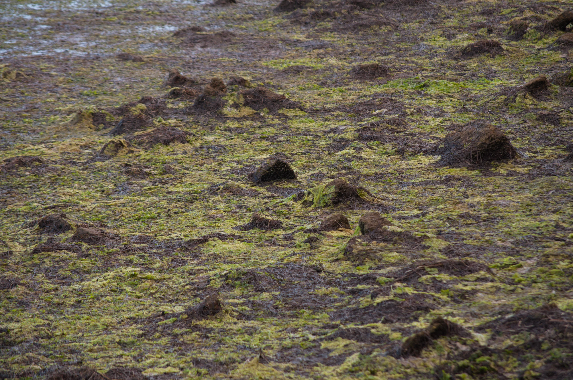 315 — Скачать