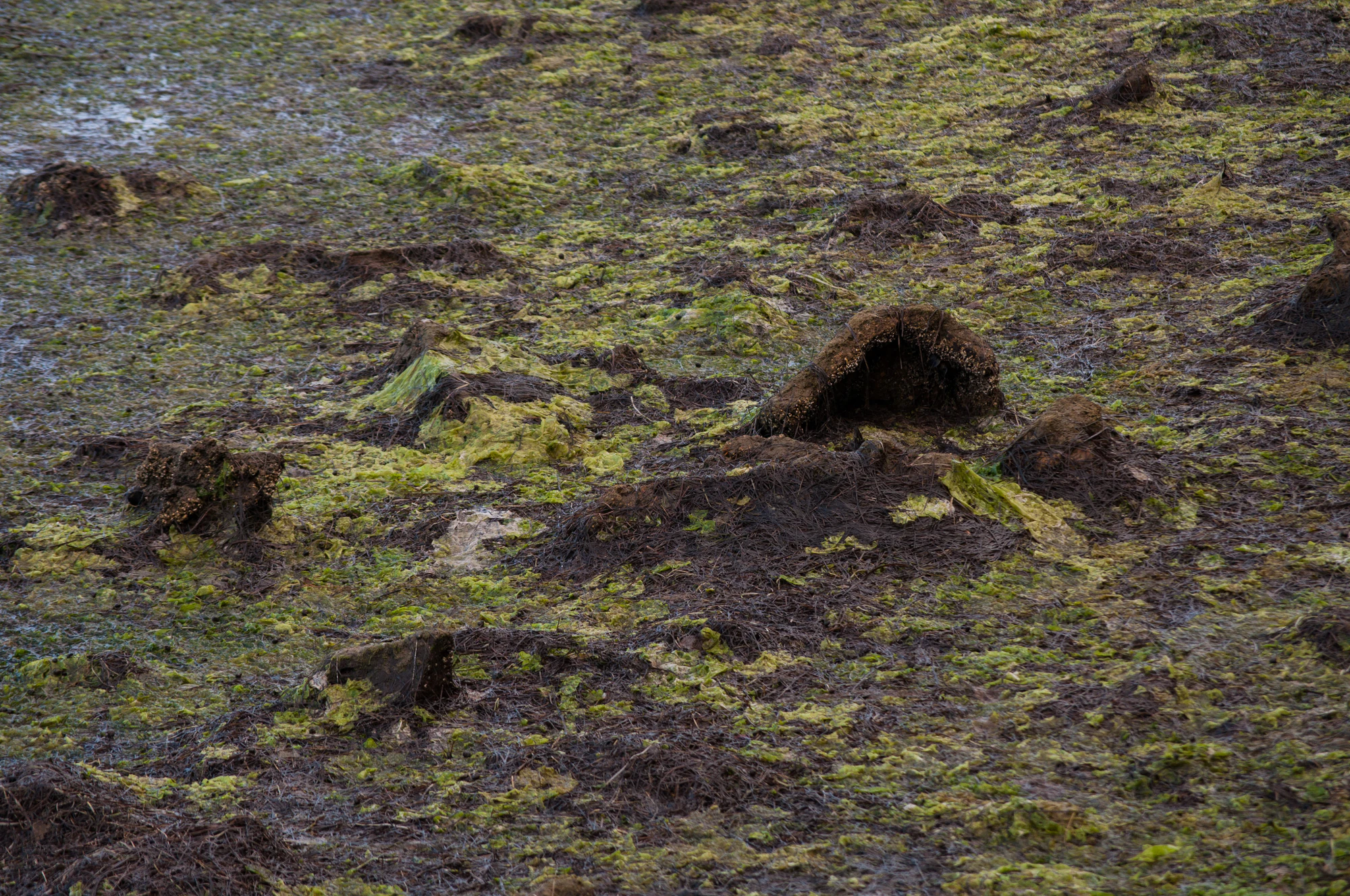 317 — Скачать