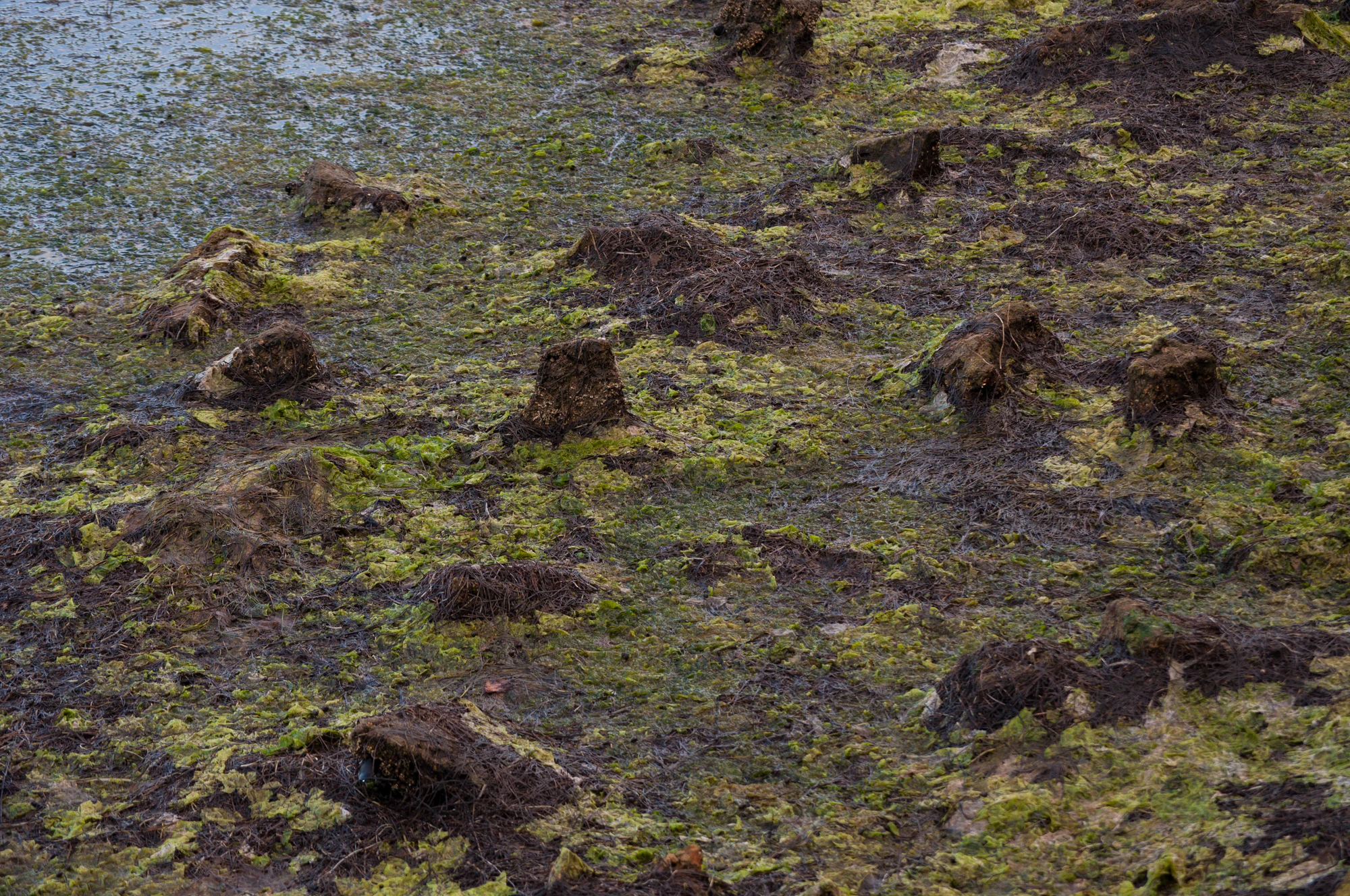 318 — Скачать