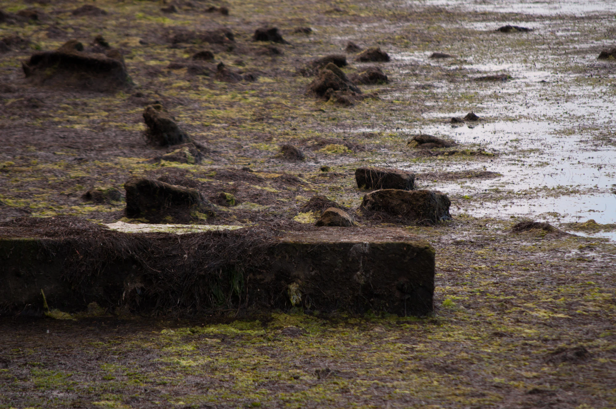 320 — Скачать