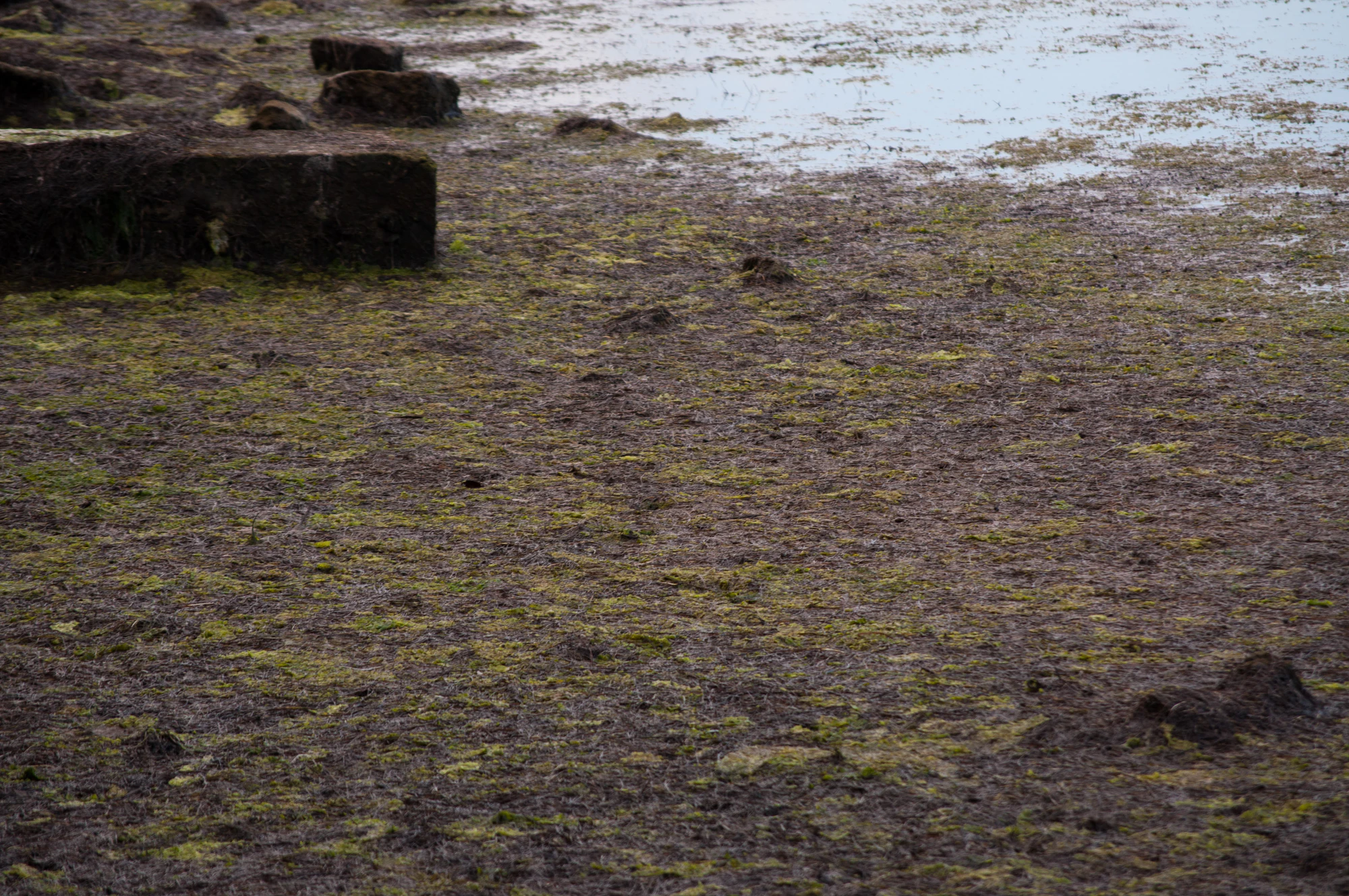 321 — Скачать