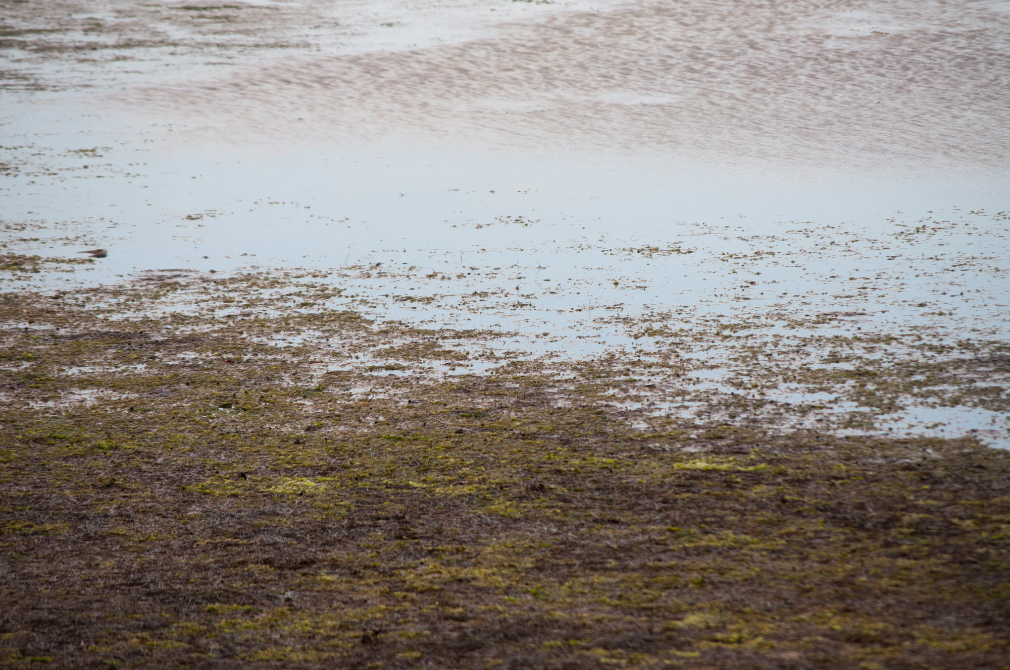 322 — Скачать