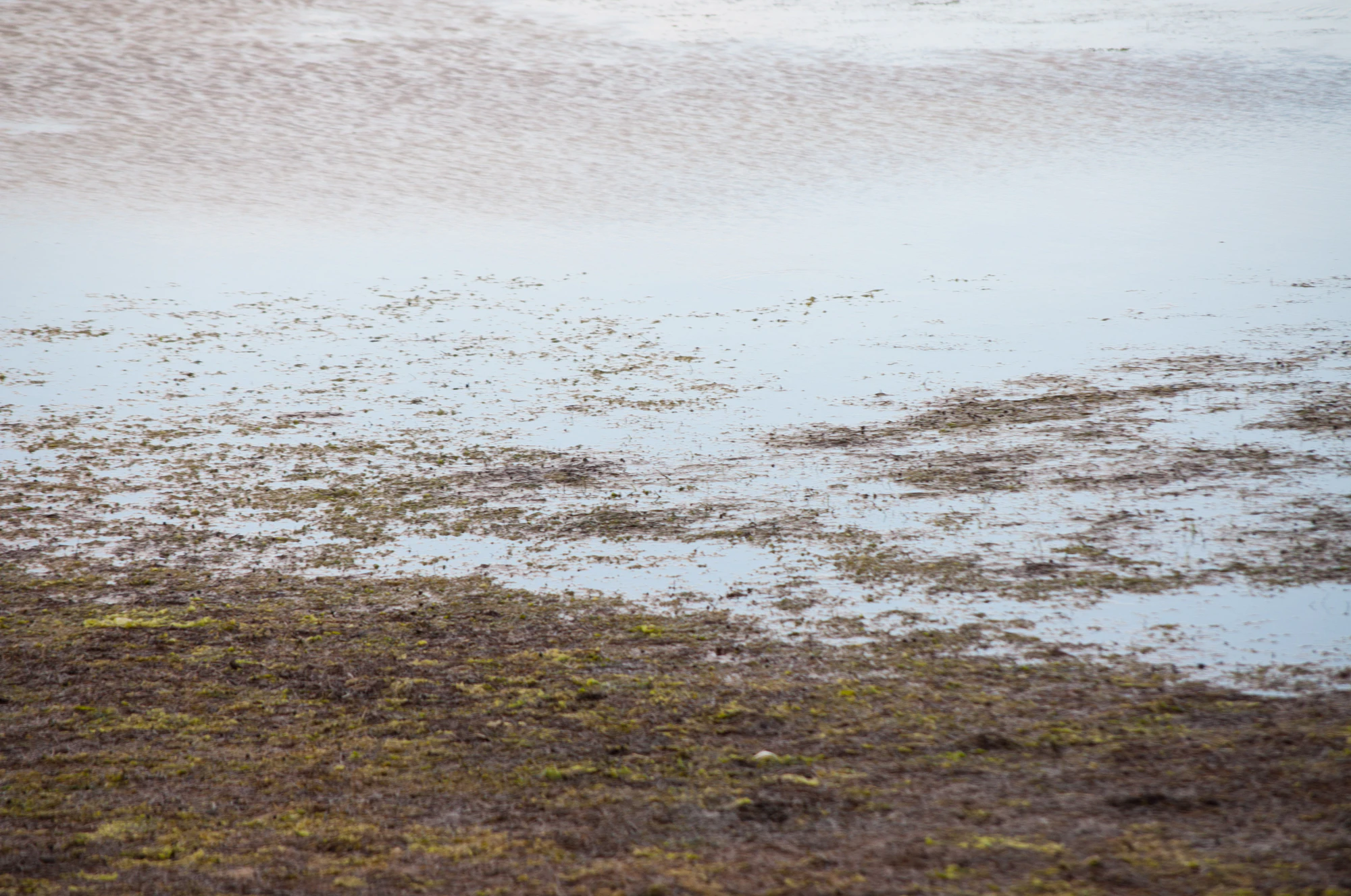 323 — Скачать