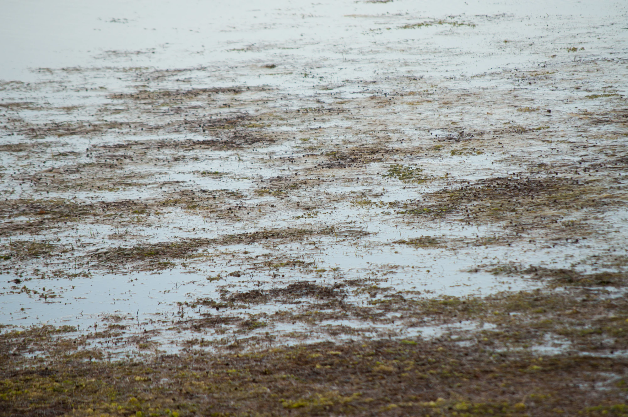 326 — Скачать