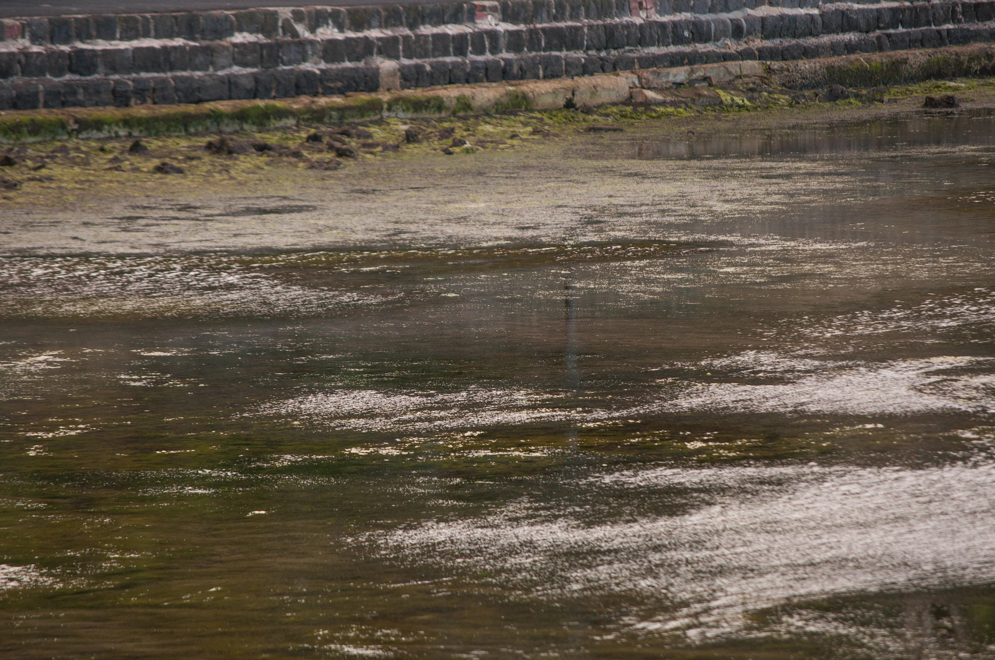 328 — Скачать