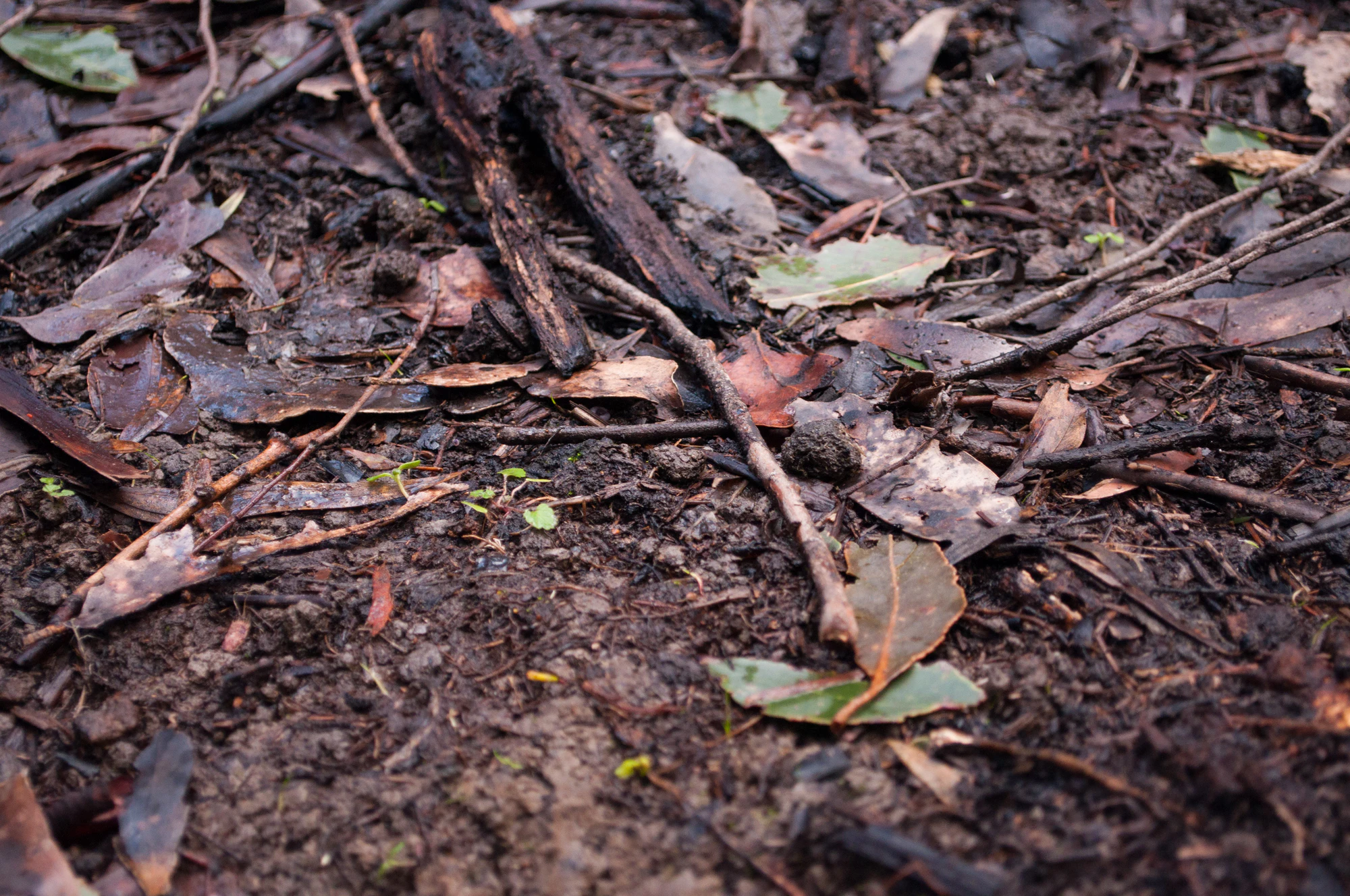 052 — Скачать