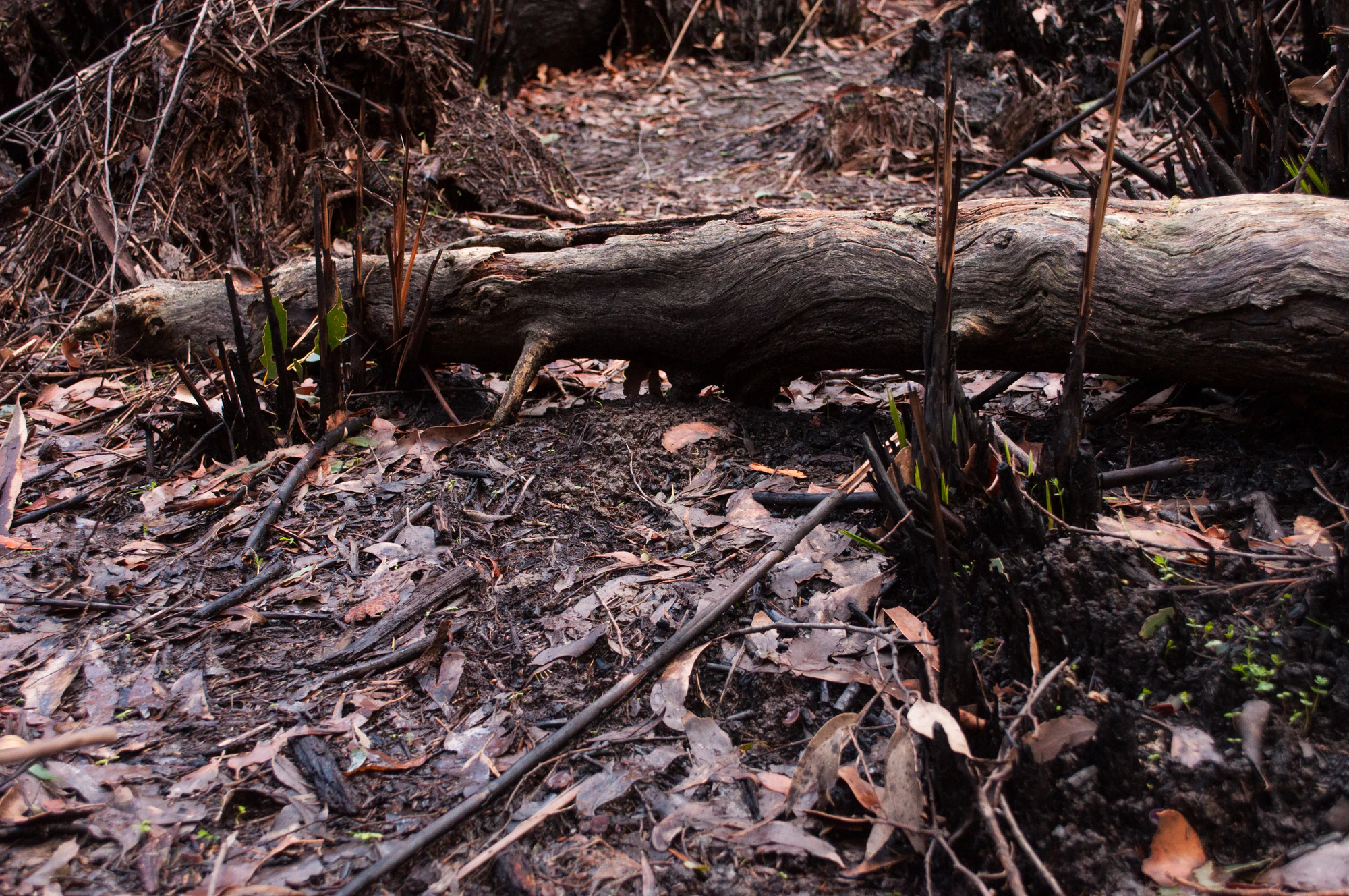 053 — Скачать