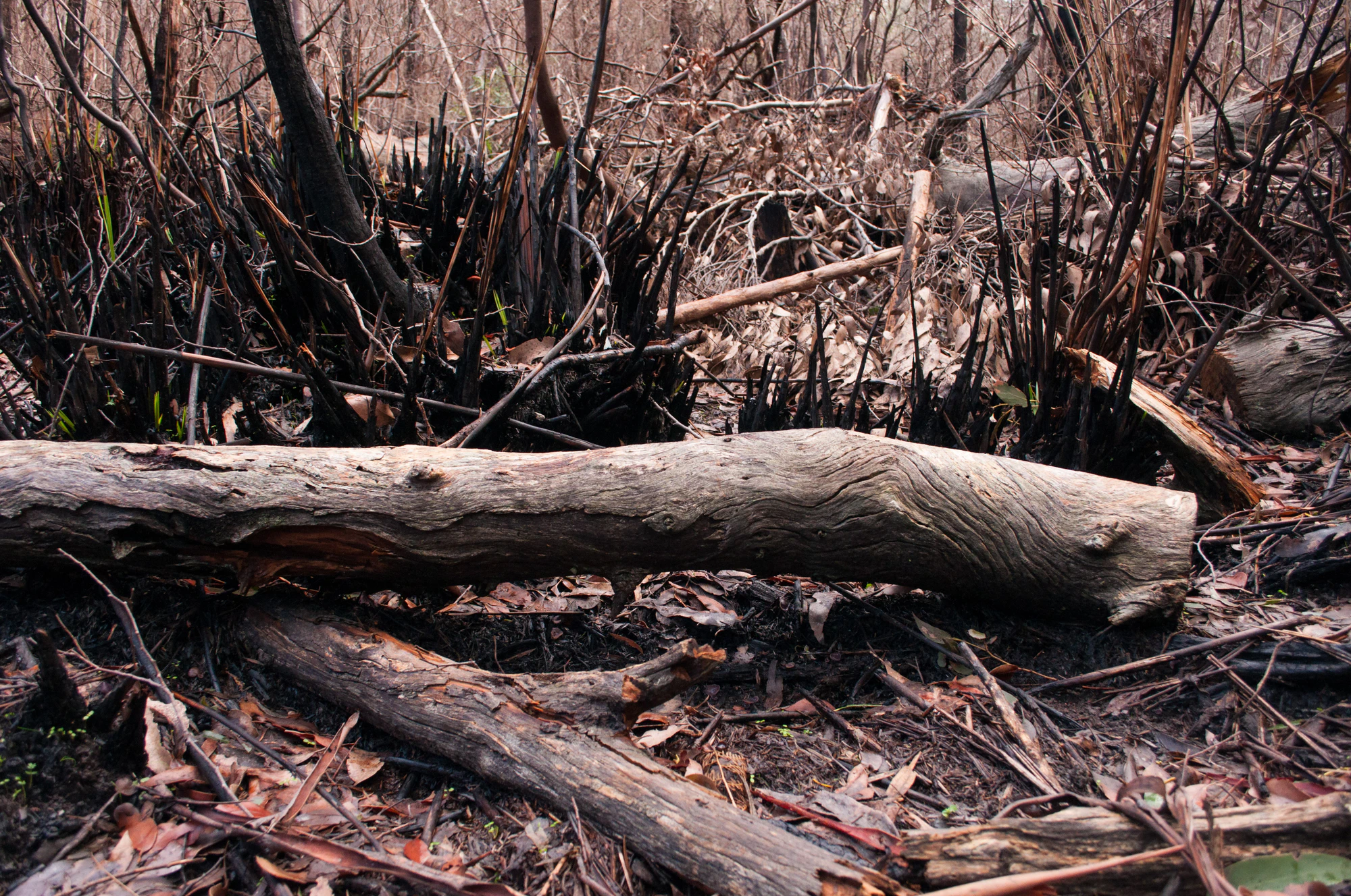 055 — Скачать