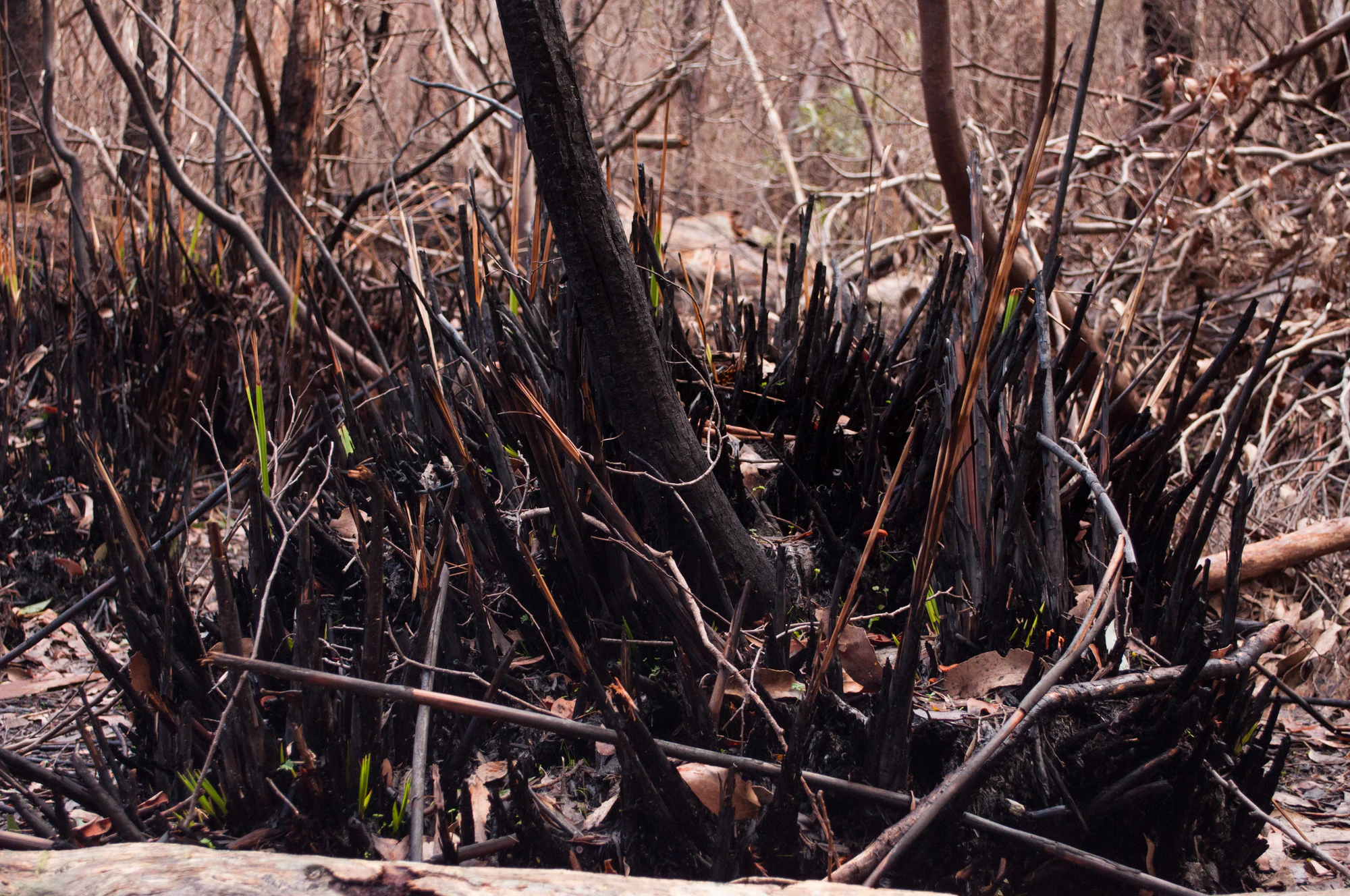 056 — Скачать